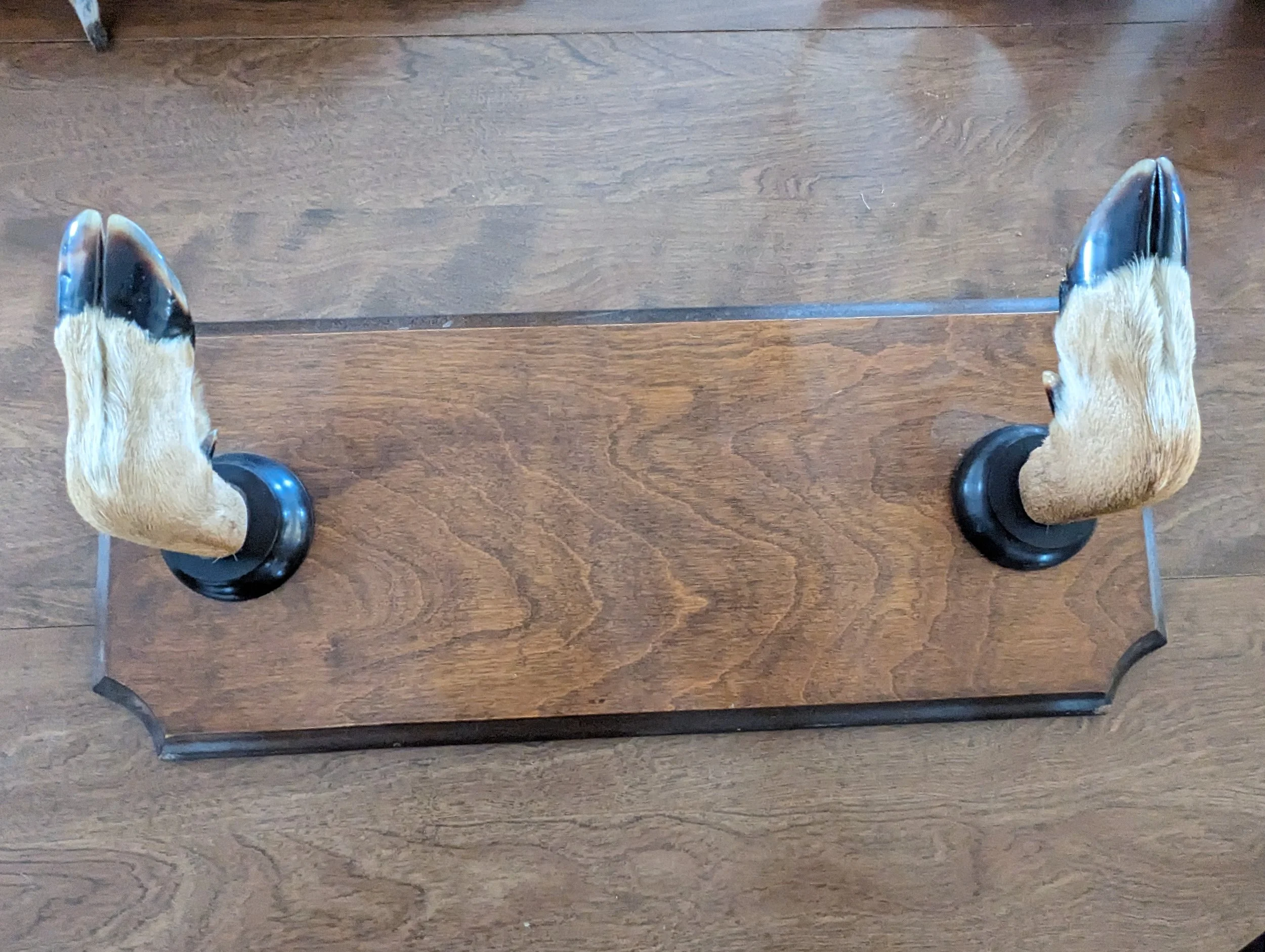 Whitetail Deer Hoof Coat Gun Rack