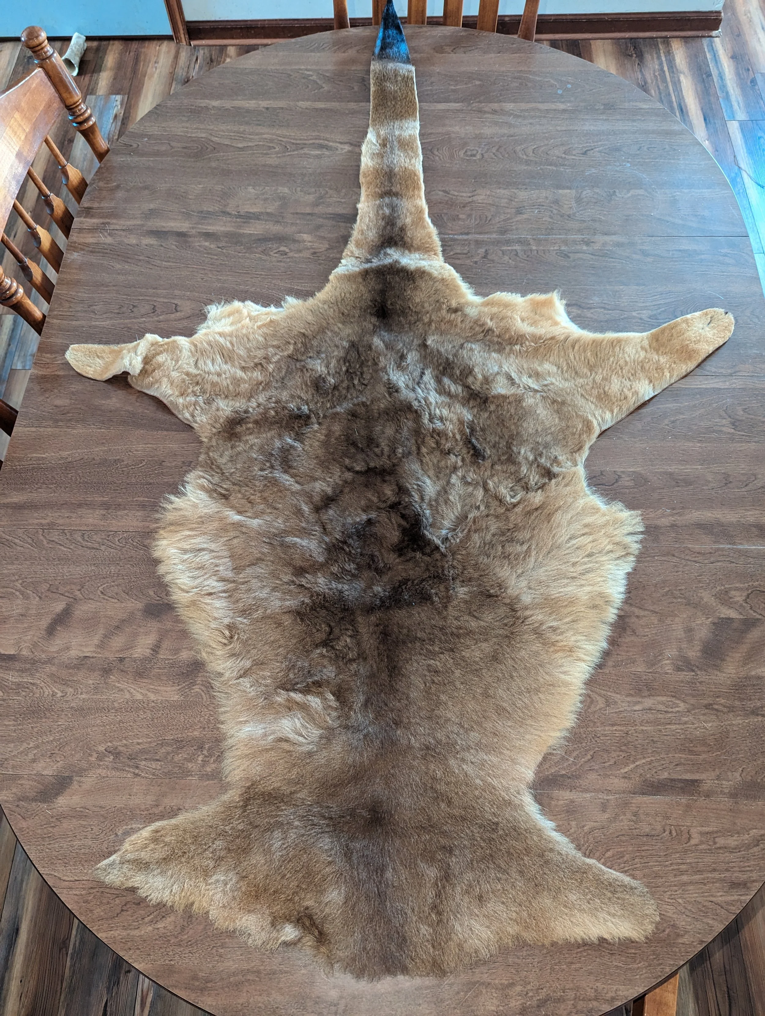 Vintage Kangaroo Hide leather