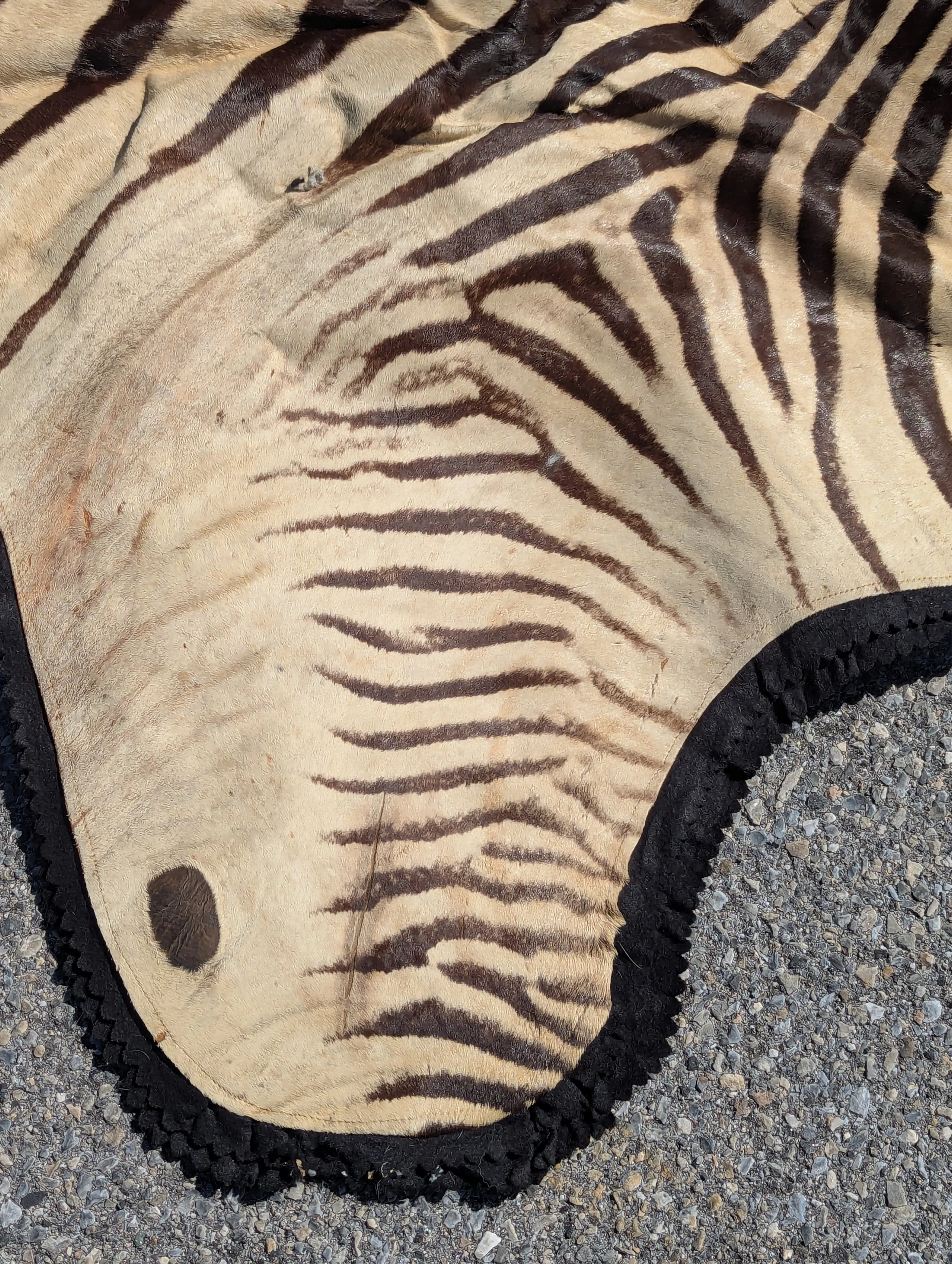 1000061150.jpg