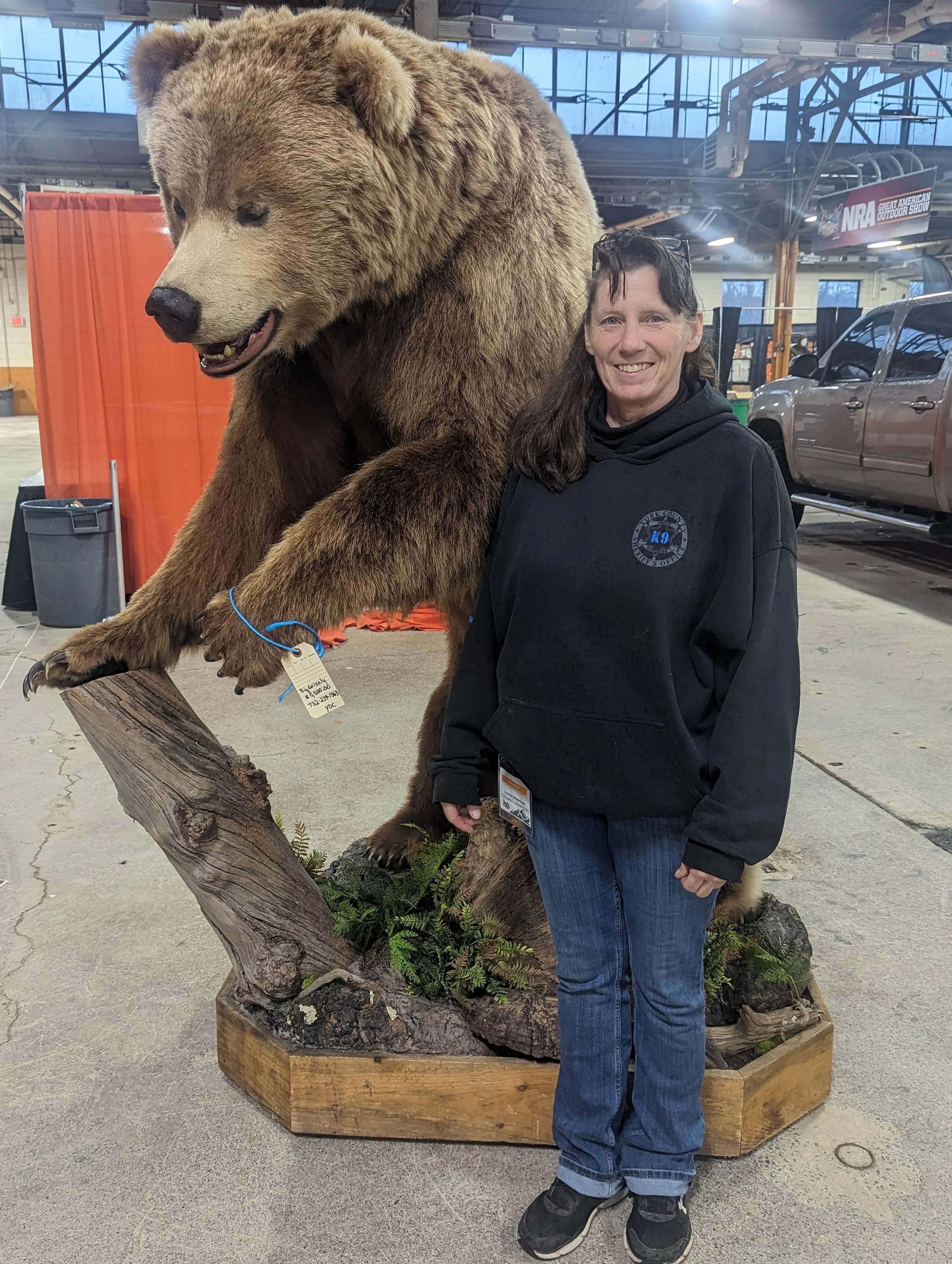 Large Grizzly Bear Life-size Taxidermy Mount