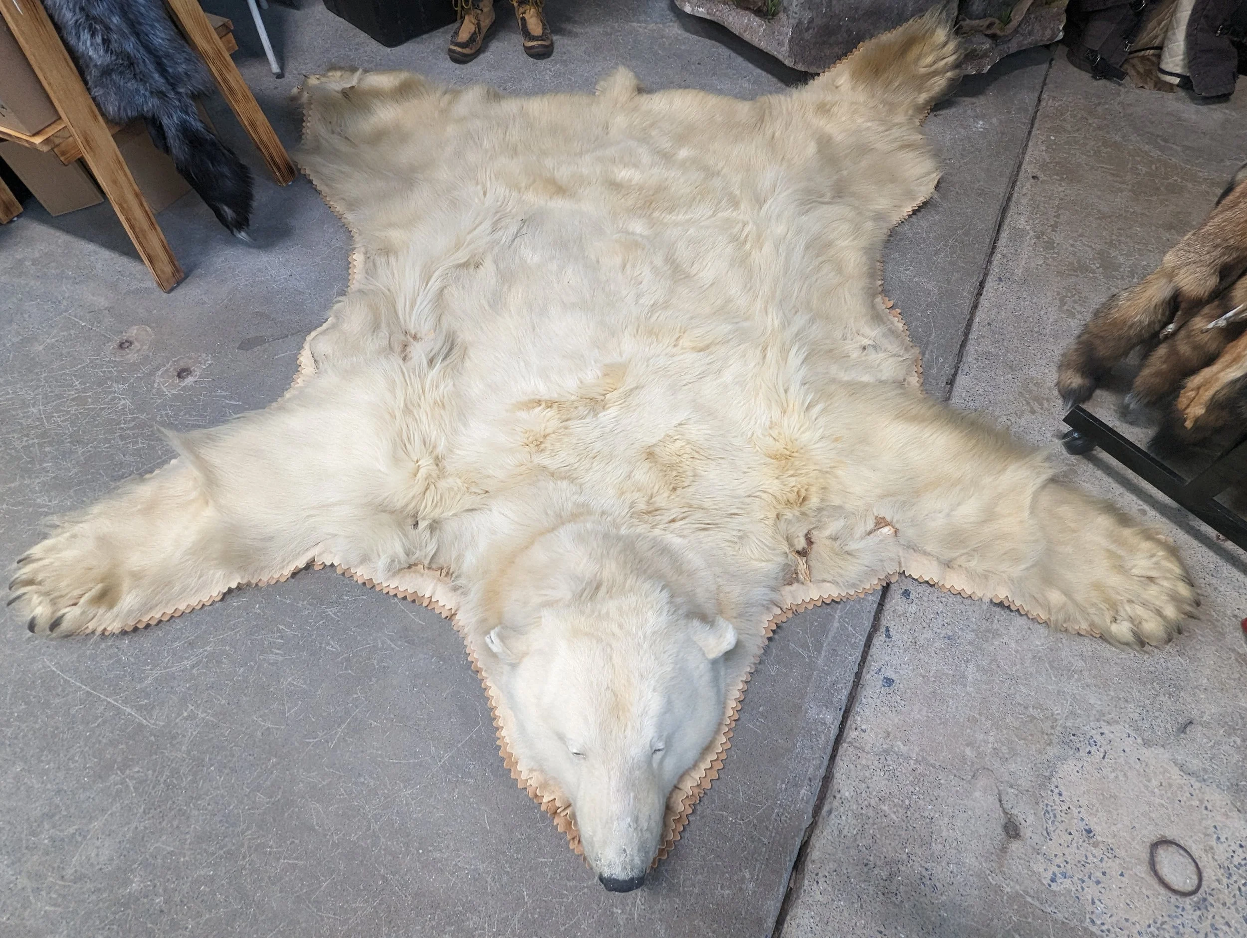 1968 Polar Bear Rug 7 x 7 Jonas Bros.