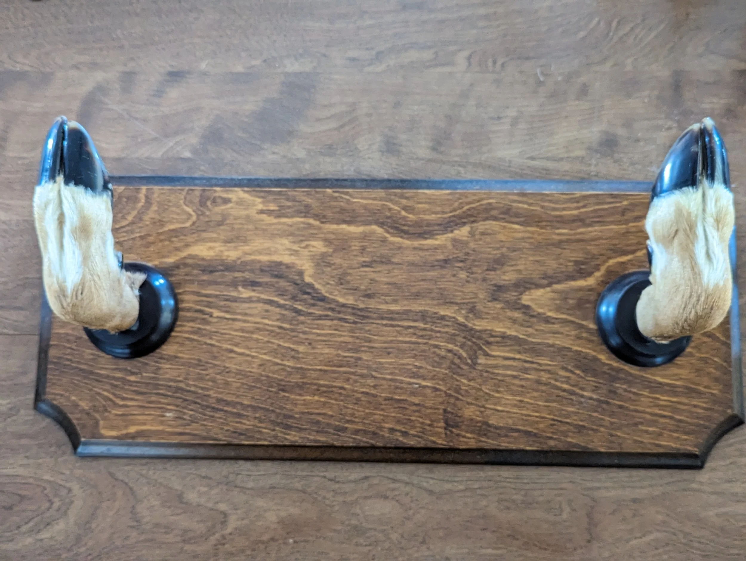 Whitetail Deer Hoof Gun rack Coat Hat B