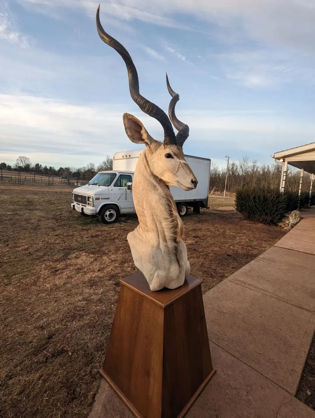 Magnificent Kudu pedestal mount