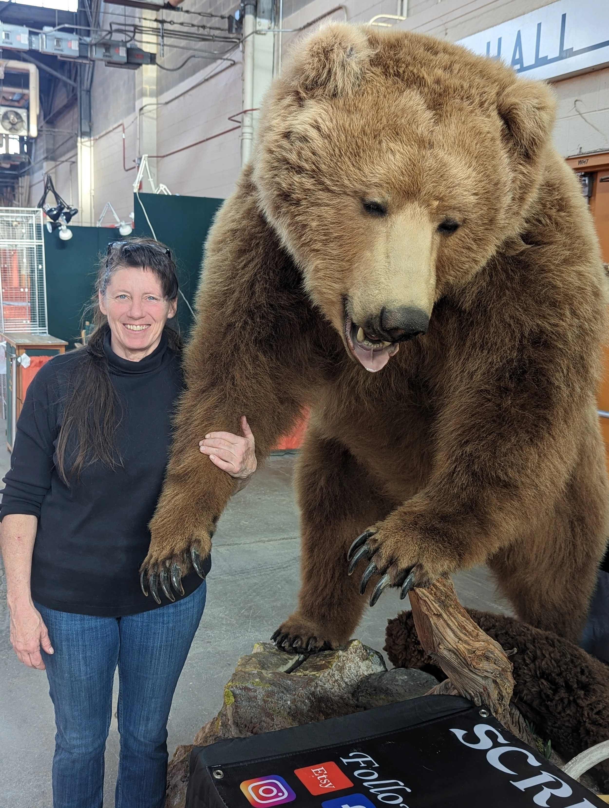Huge Kodiak Island Brown Bear