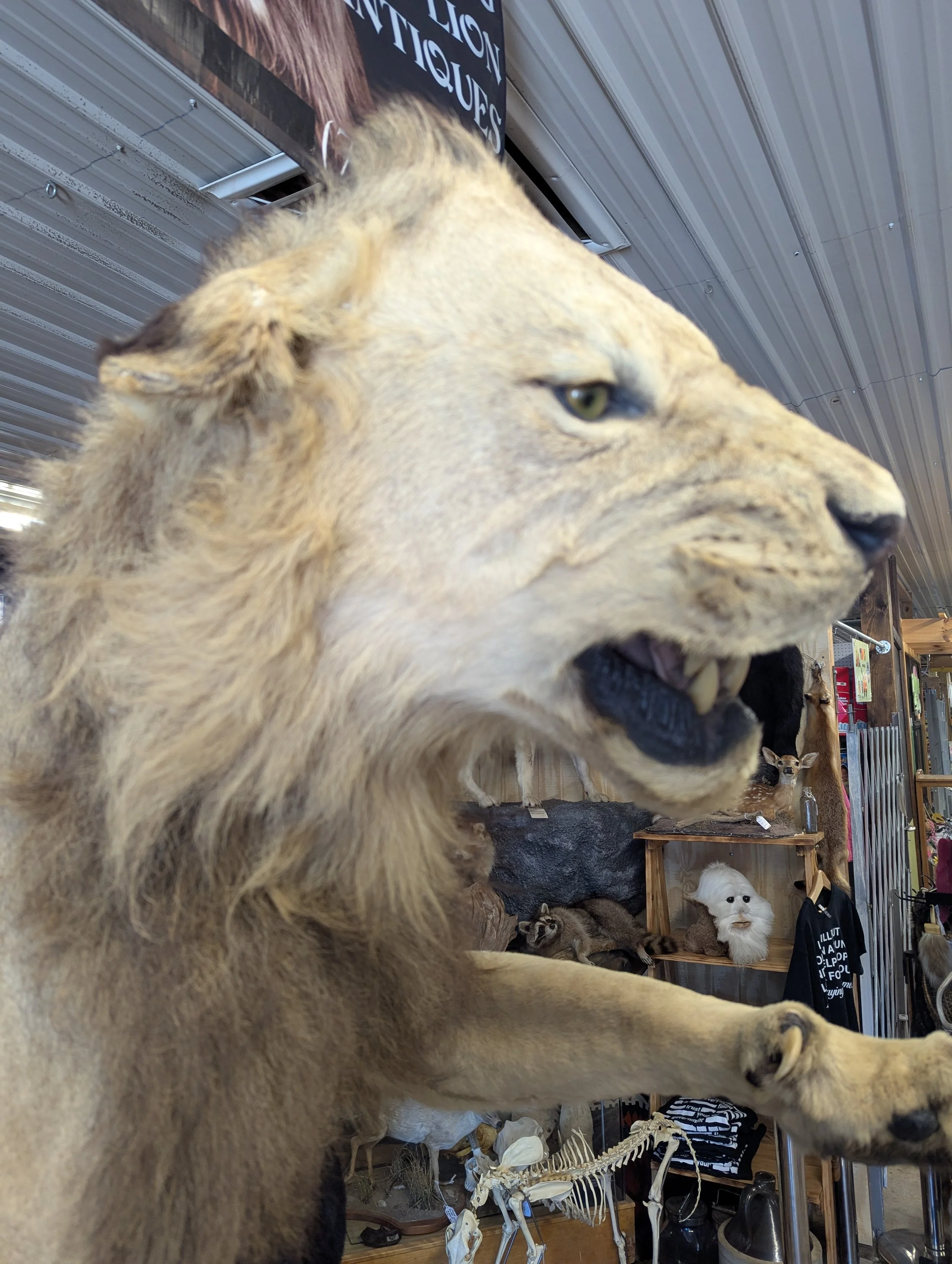1000056353.jpg
