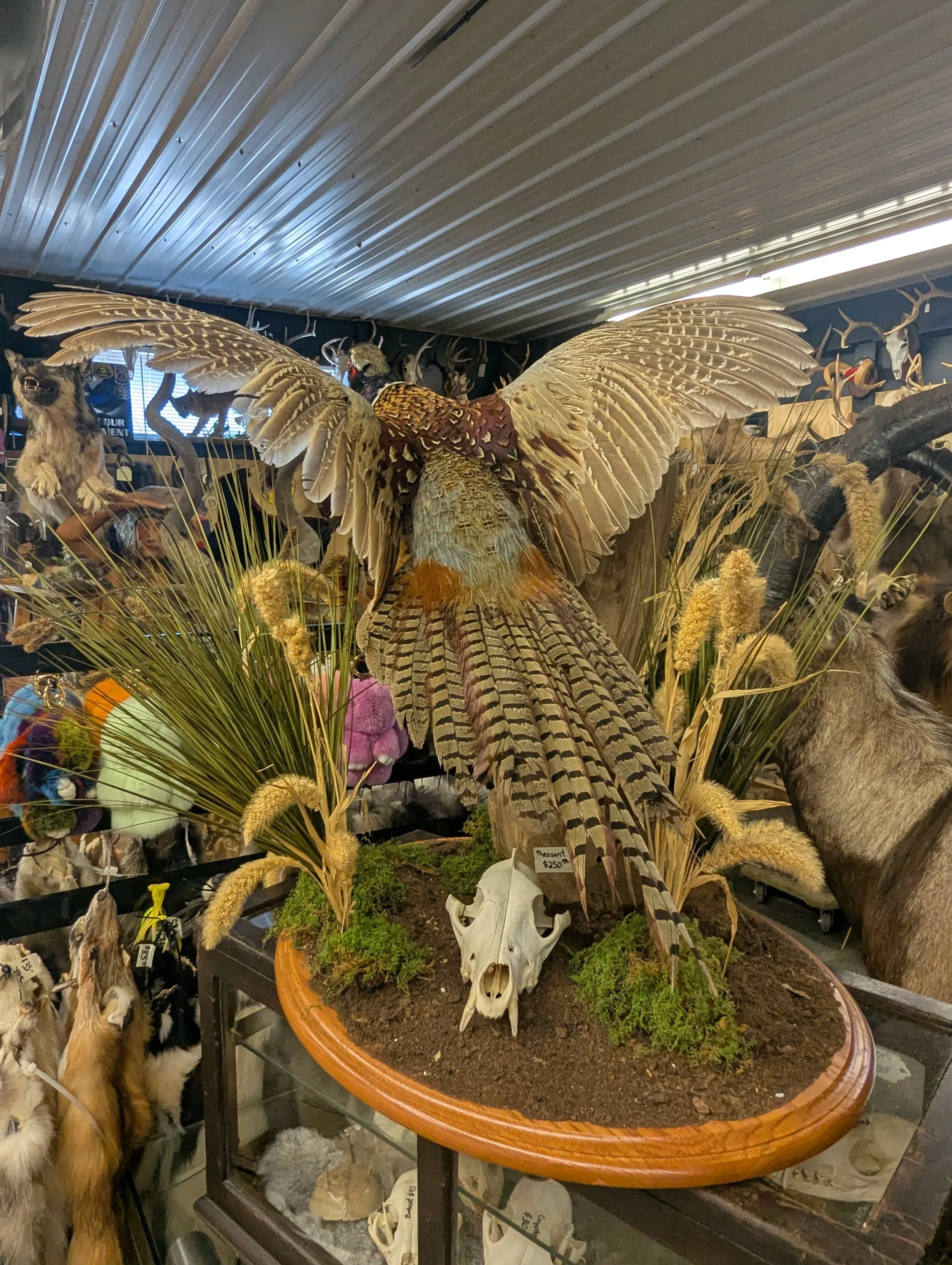 1000057503.jpg