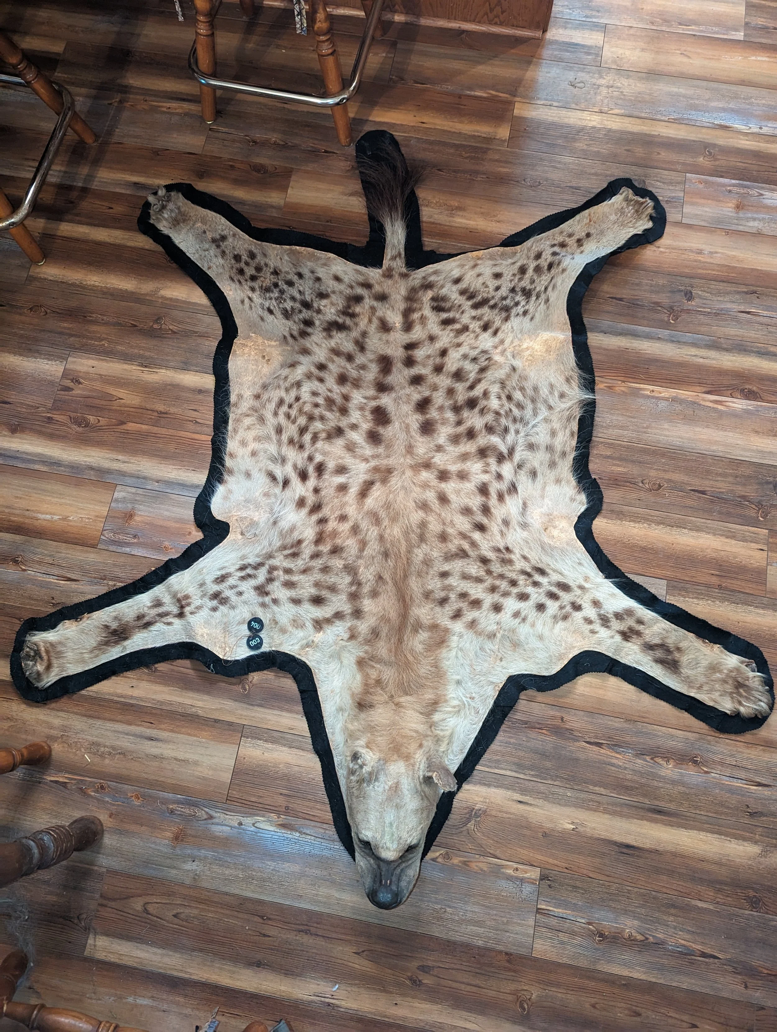 The Van Gogh Hyena Taxidermy rug