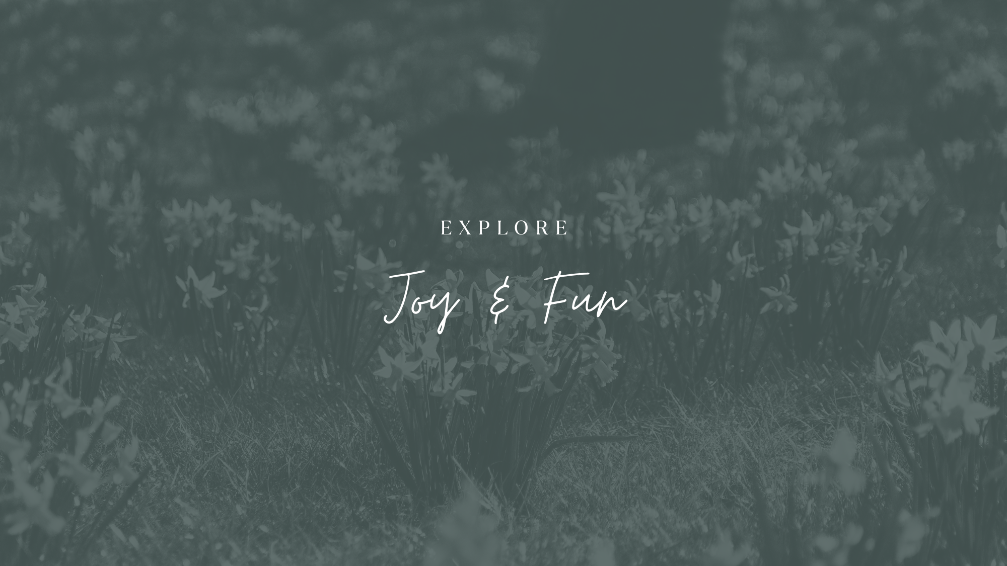 Stop DOING Gratitude - My Gratitude Experience