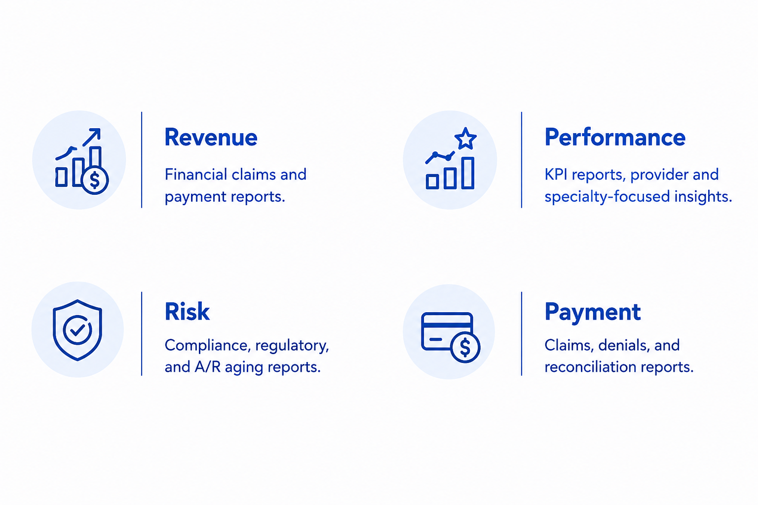 A digital infographic displays four key areas: Revenue with an icon of ascending bar chart and dollar sign, Performance with an icon of a graph and star, Risk with a shield icon, and Payment with a credit card icon. Each area has a brief description underneath.