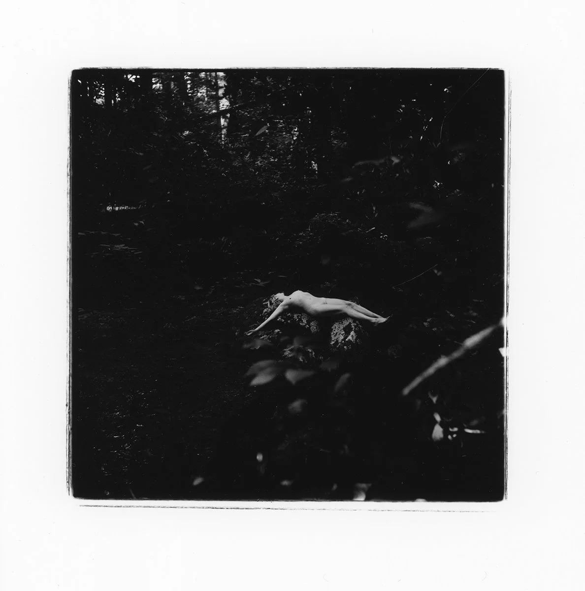 ElisabethCiaccio_Sun batherRoots2021.jpg