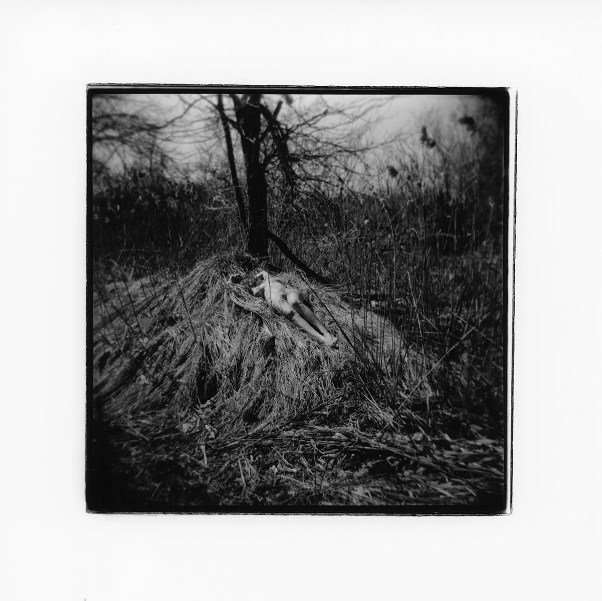 Sacrificial Lamb.jpg