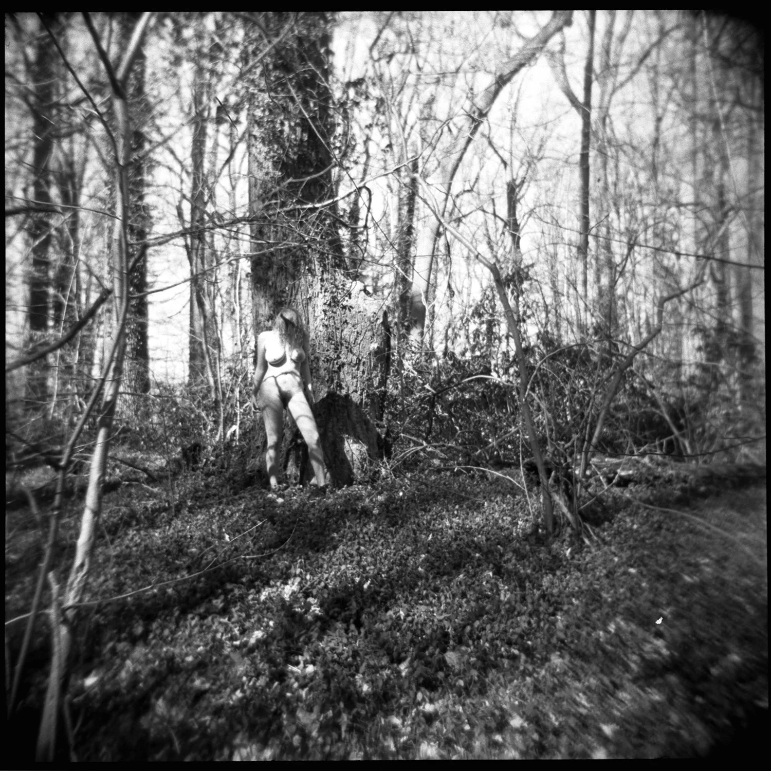 Sofija, Preserve.jpg