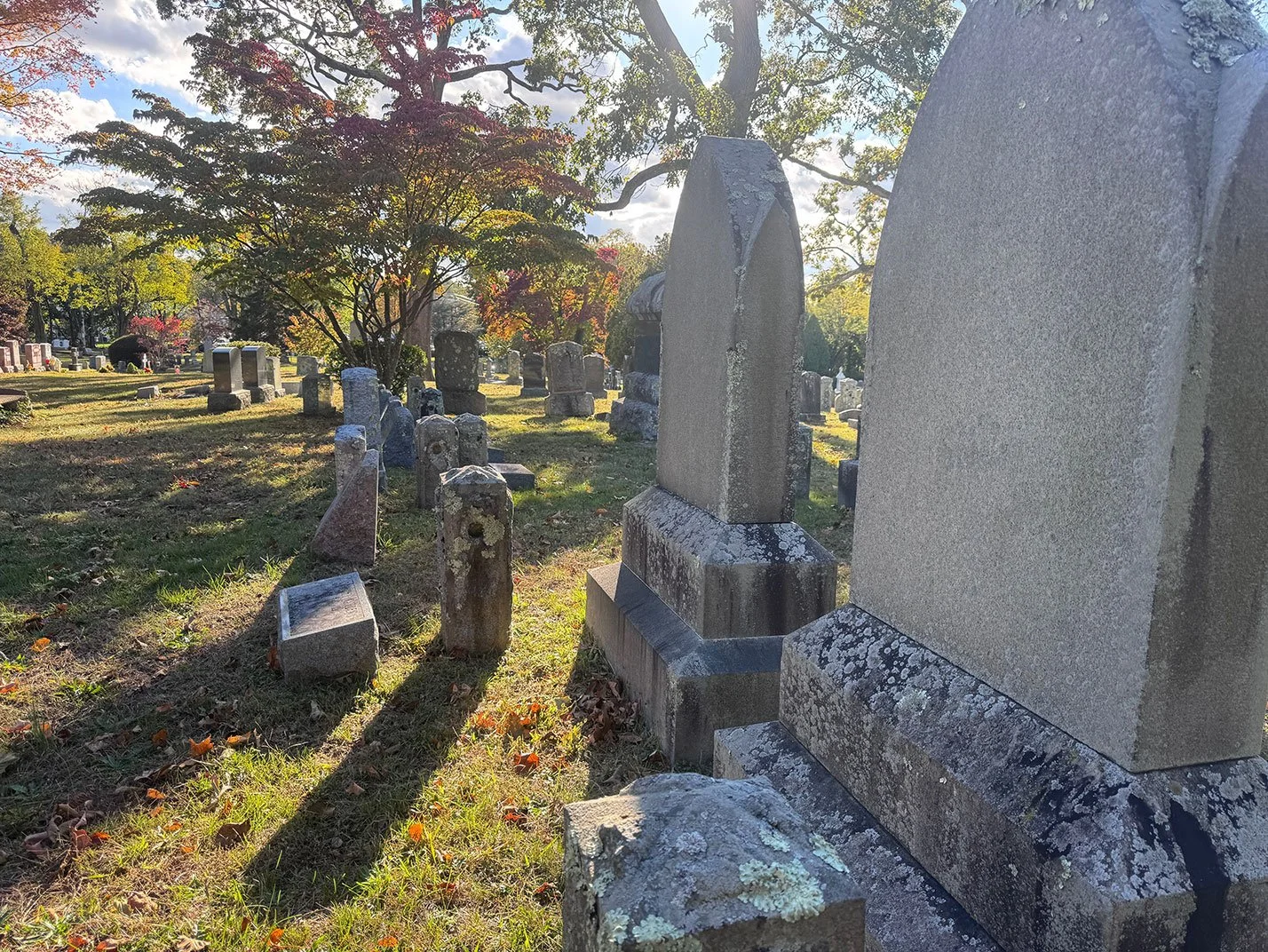 A graveyard with numerous headstones and tombstones of varying sizes and shapes, some covered in lichen, with a large tree with red and green leaves in the background, and sunlight casting shadows across the grass.