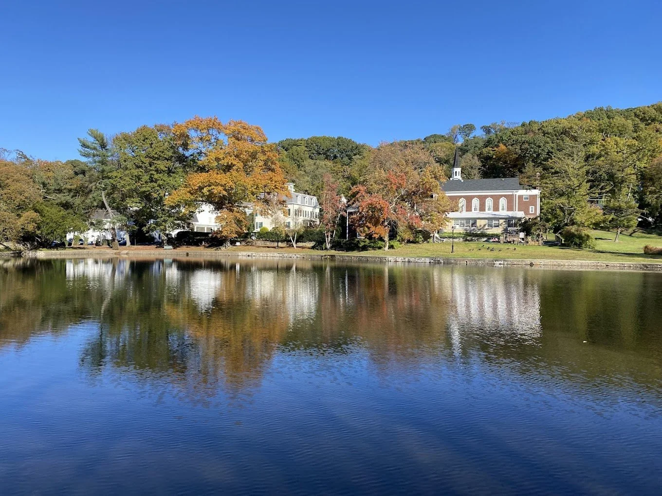 A peaceful lake reflecting trees and buildings on the shore, with a bright blue sky overhead.
