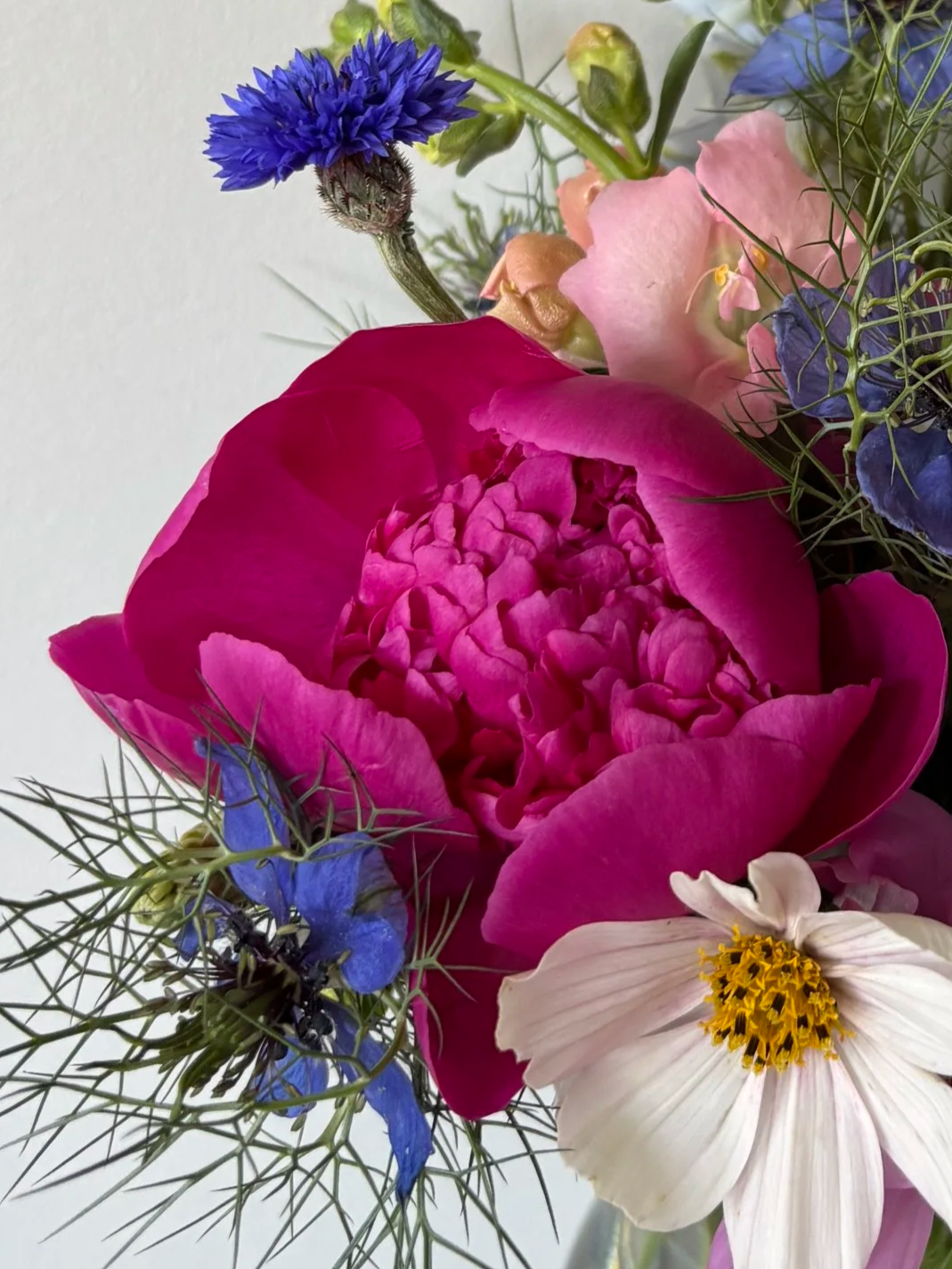 IMG_3213.png