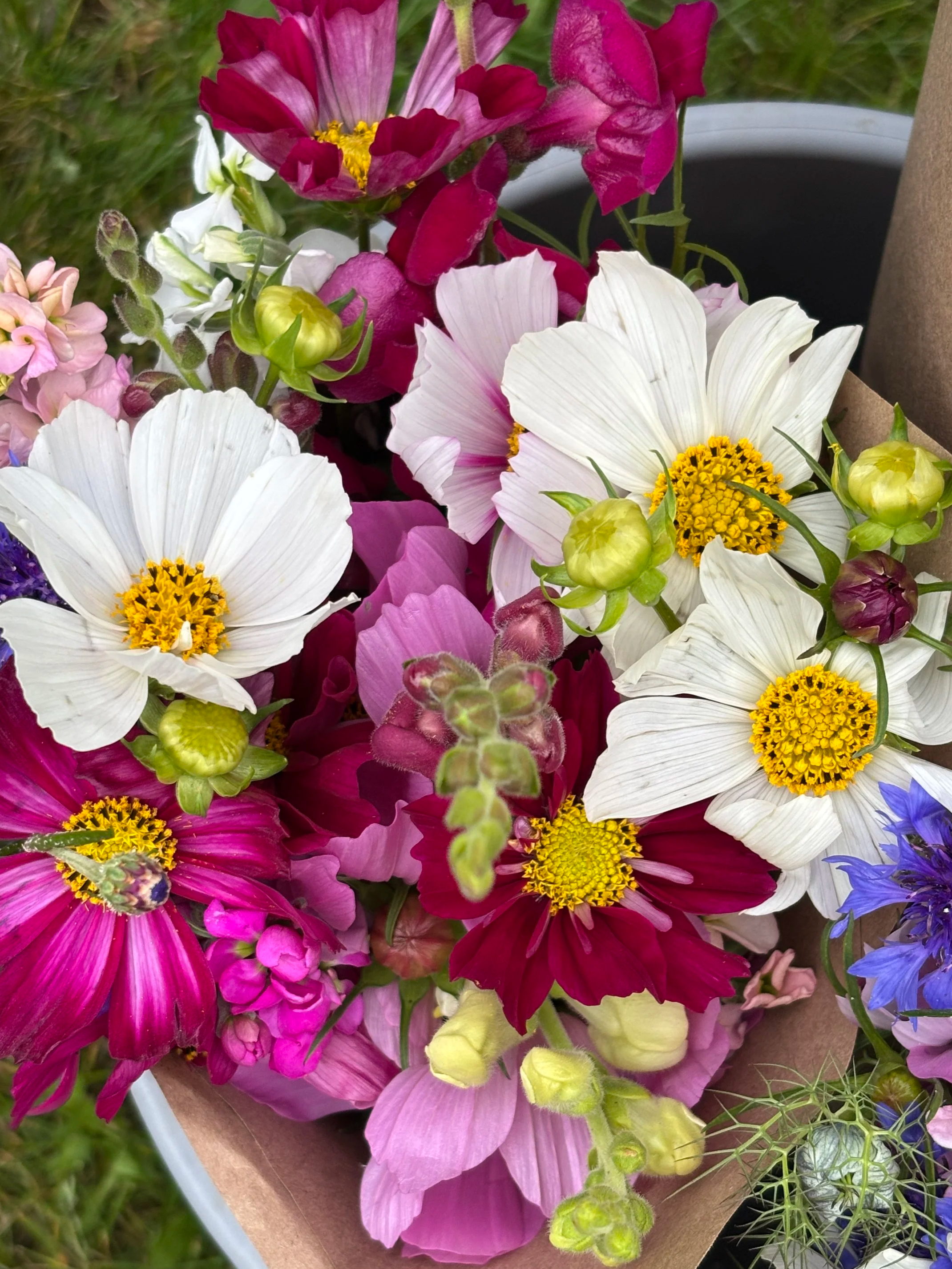 Grower's Choice Mixed Blooms Bouquet