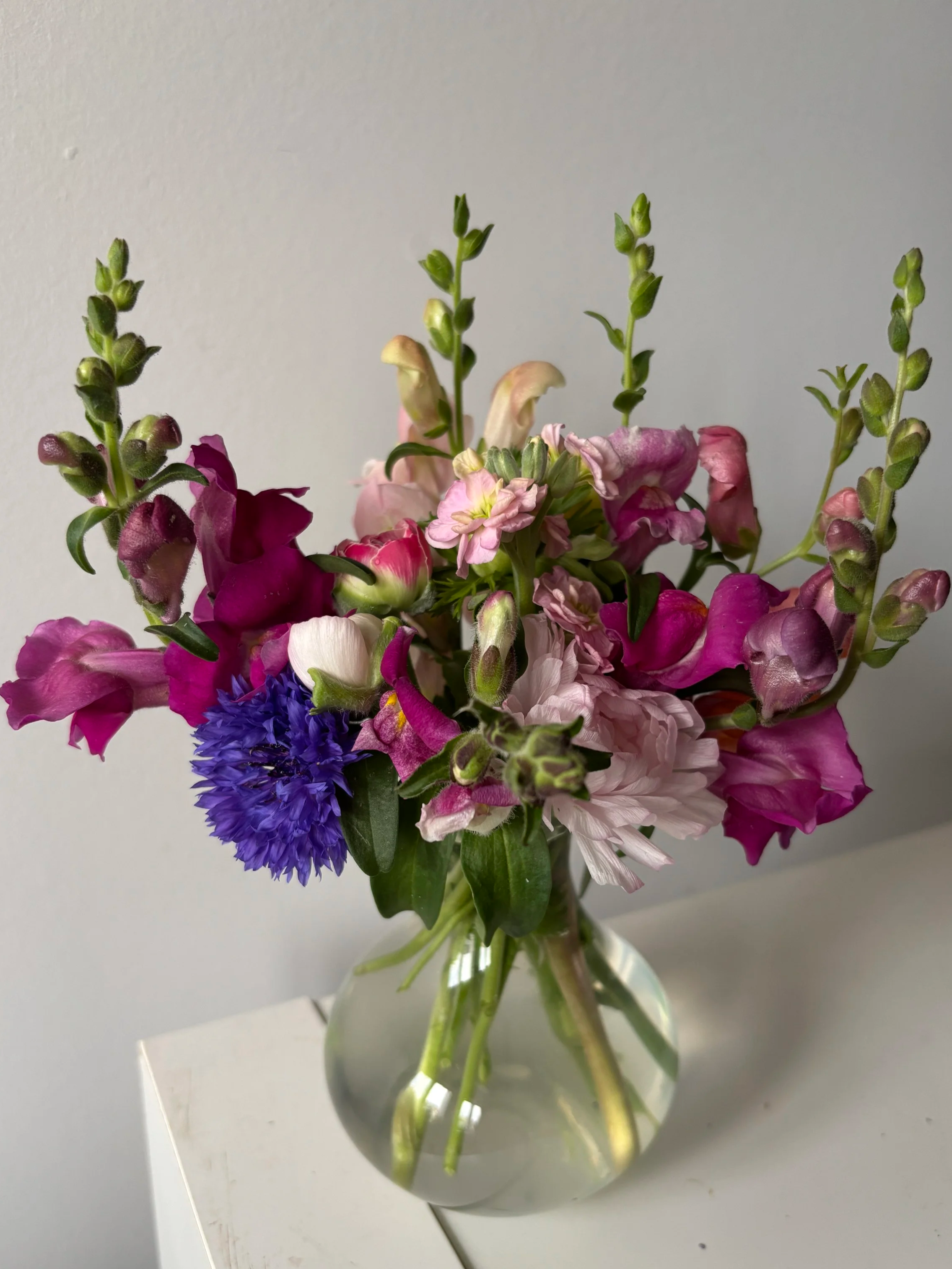 Bud Vase - Grower's Choice Mixed