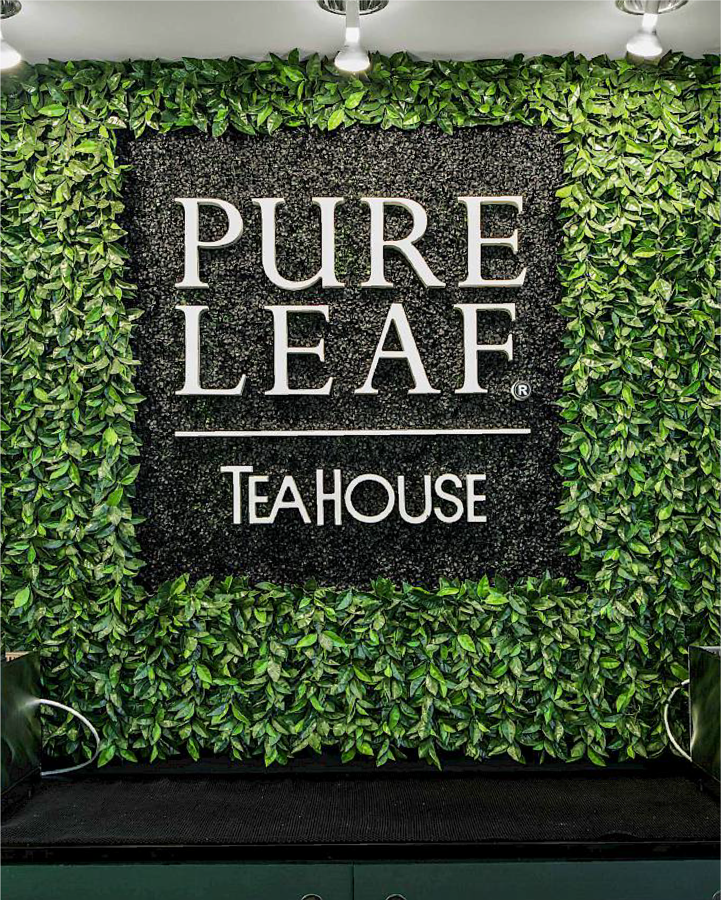 Sign for Pure Leaf Tea House surrounded by green leafy plants and illuminated by ceiling lights.