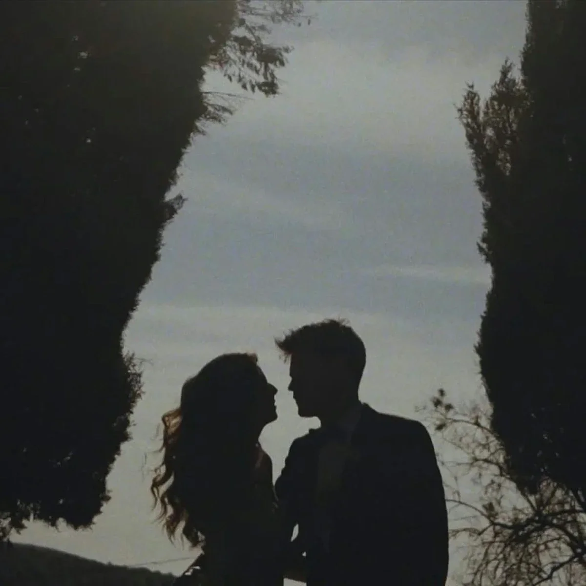 Silhouette of a couple standing close together outdoors, surrounded by trees, with an overcast sky in the background.