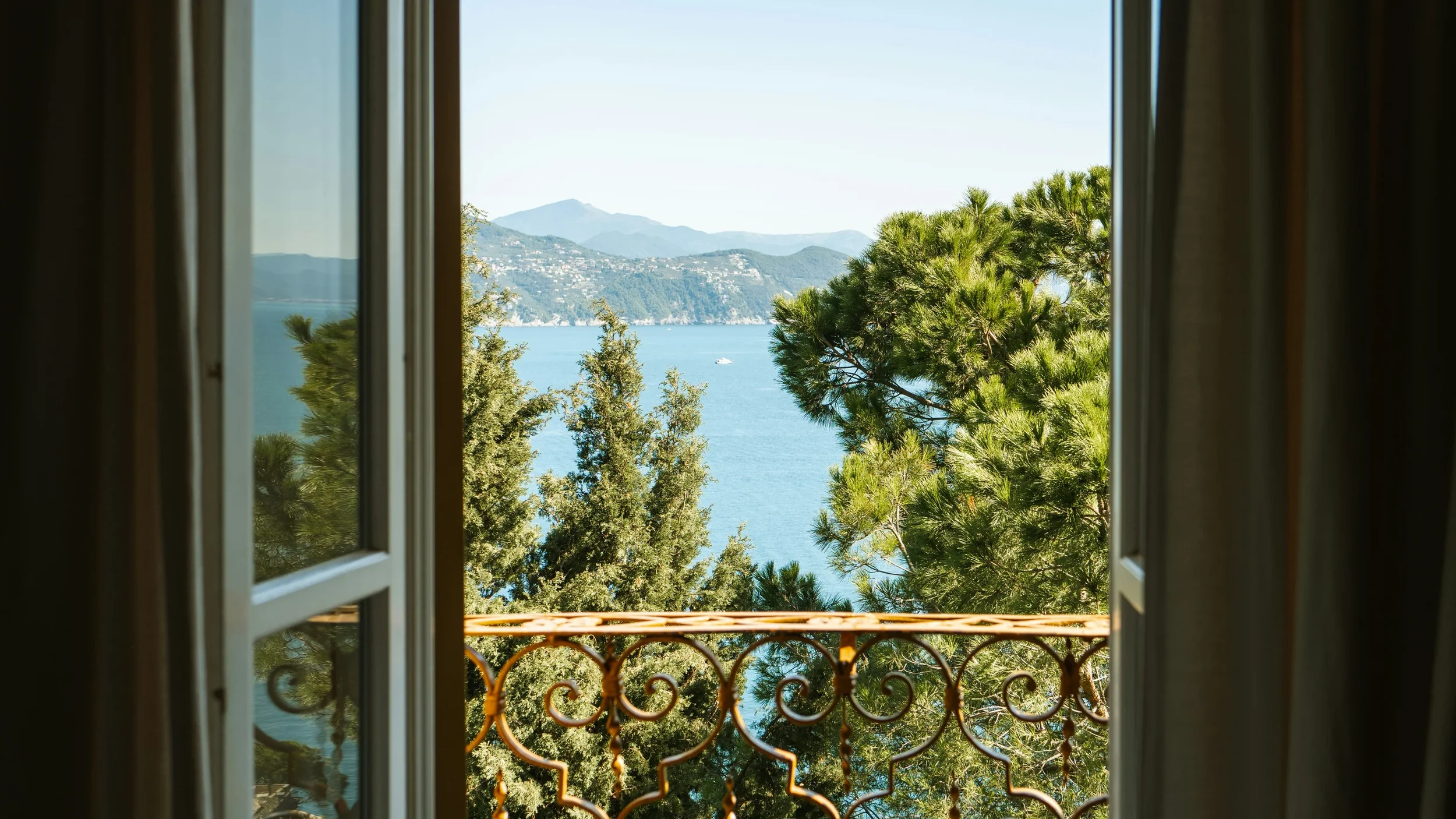 The Bellavita Intelligence Network: The Human Cost of 5-Star Illusions