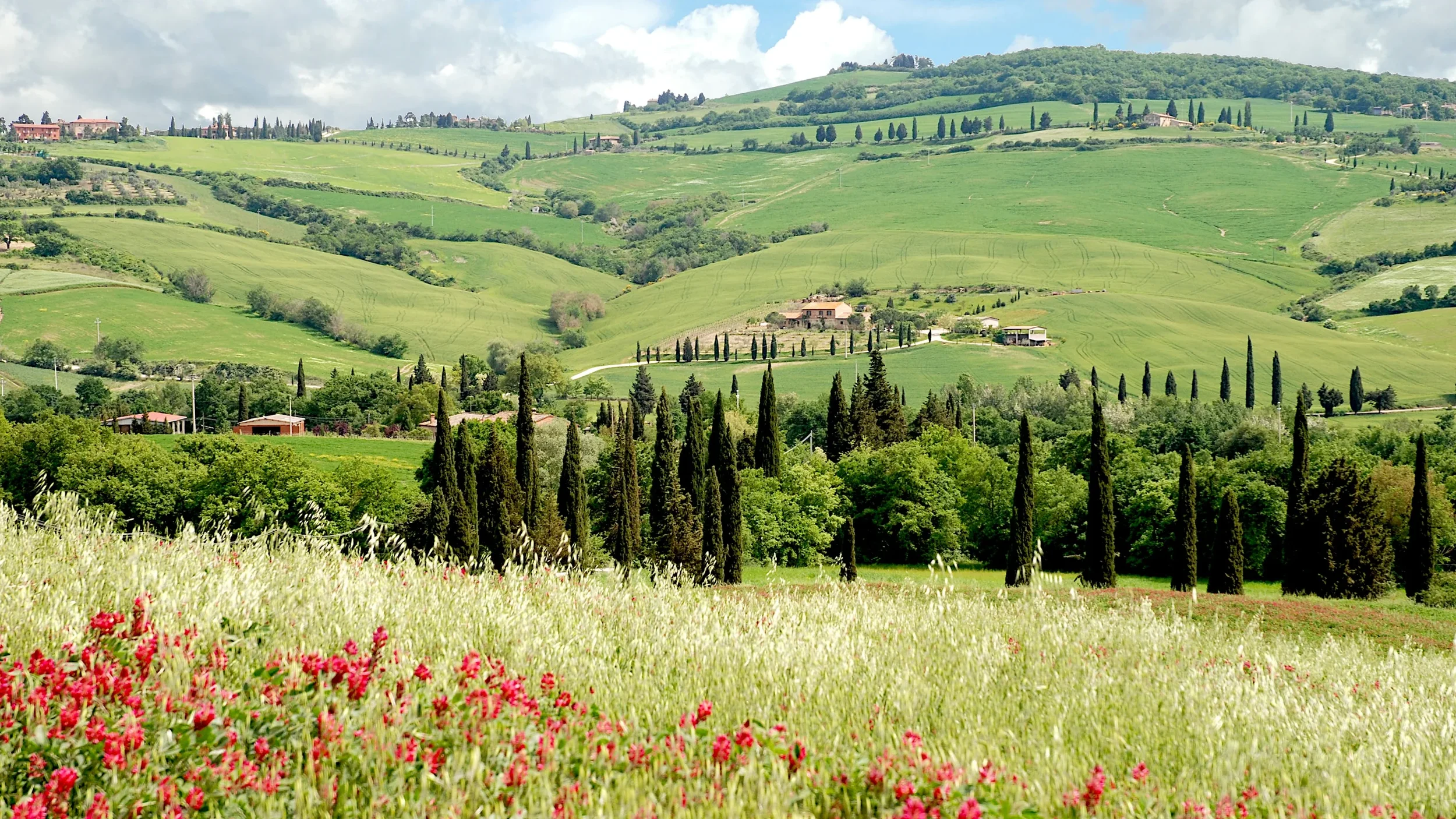 Green rolling hills with scattered trees, houses, and narrow roads, under a partly cloudy sky.
