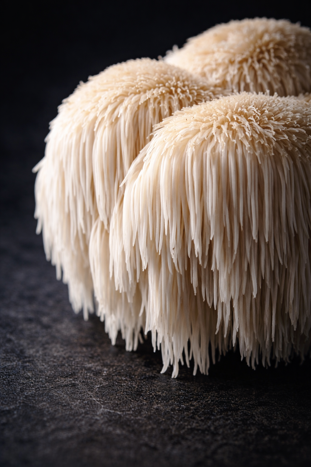 Cluster of white mushrooms with long, thin, frilly caps on a dark surface.