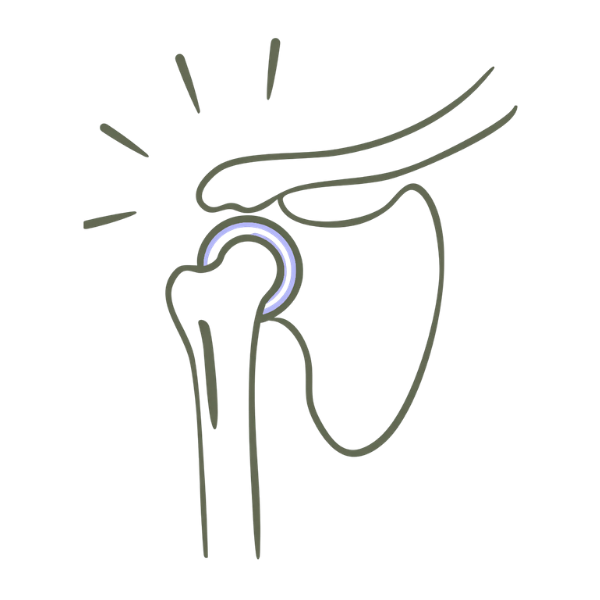 Illustration of a shoulder joint with emphasis on the ball-and-socket connection, highlighting the shoulder's anatomy.