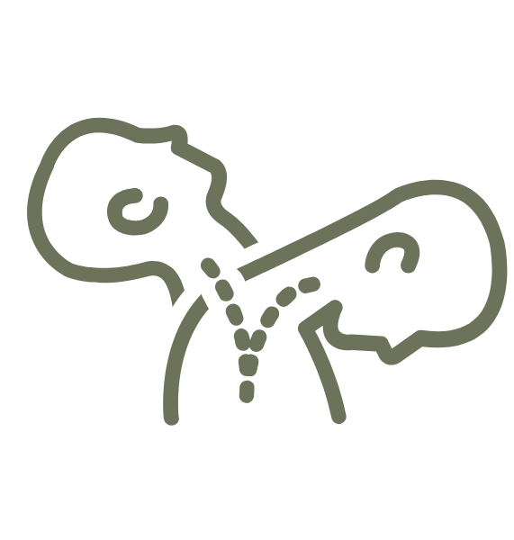 Line drawing of a human neck with a septum incision, showing the surgical site and sutures.