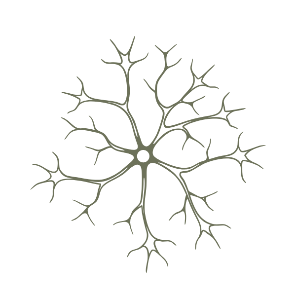 Illustration of a neuron with dendrites and axon branching out from the cell body.