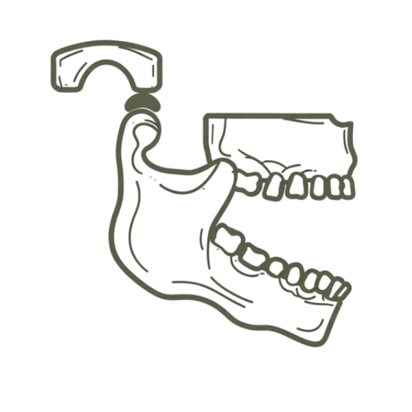 Line drawing of a human jaw with teeth and a hooked dental tool.