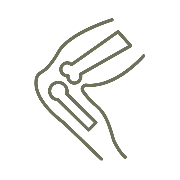Line drawing of a human knee joint with bones and joint components.
