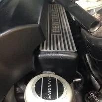 468815491_10162089506913936_7372169309526120985_n.jpg