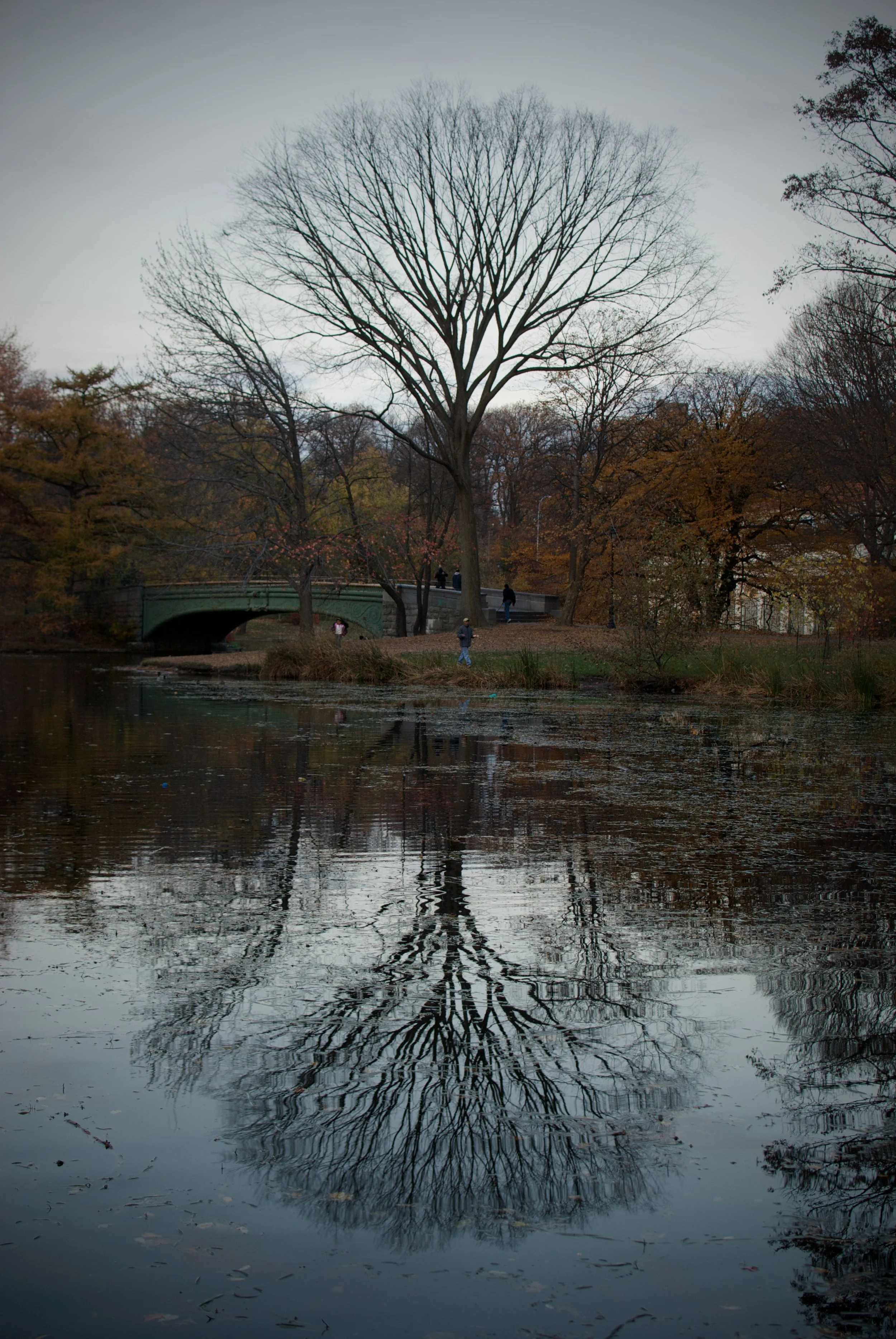 prospect-park_5196587574_o.jpg