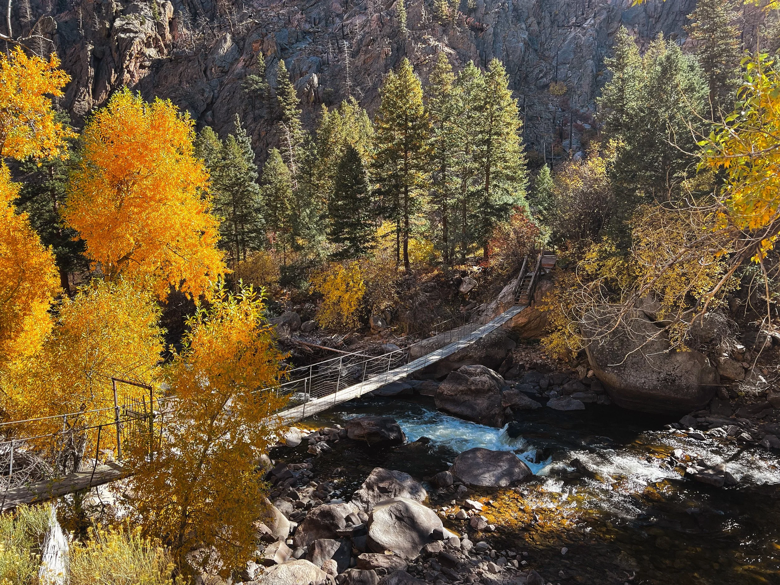 Bridge With Fall Colors, Poudre Canyon