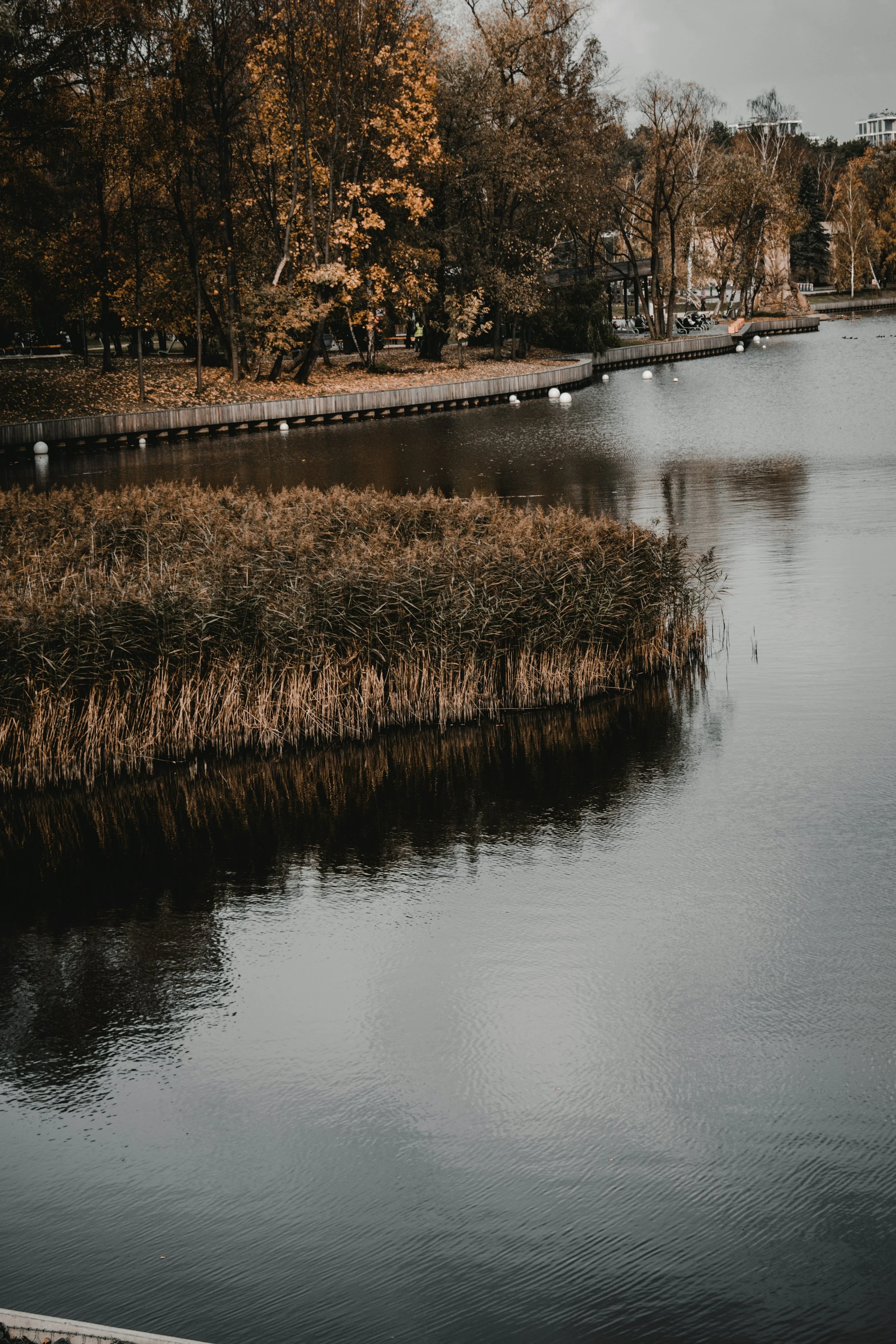 Fall Winterization Oversight