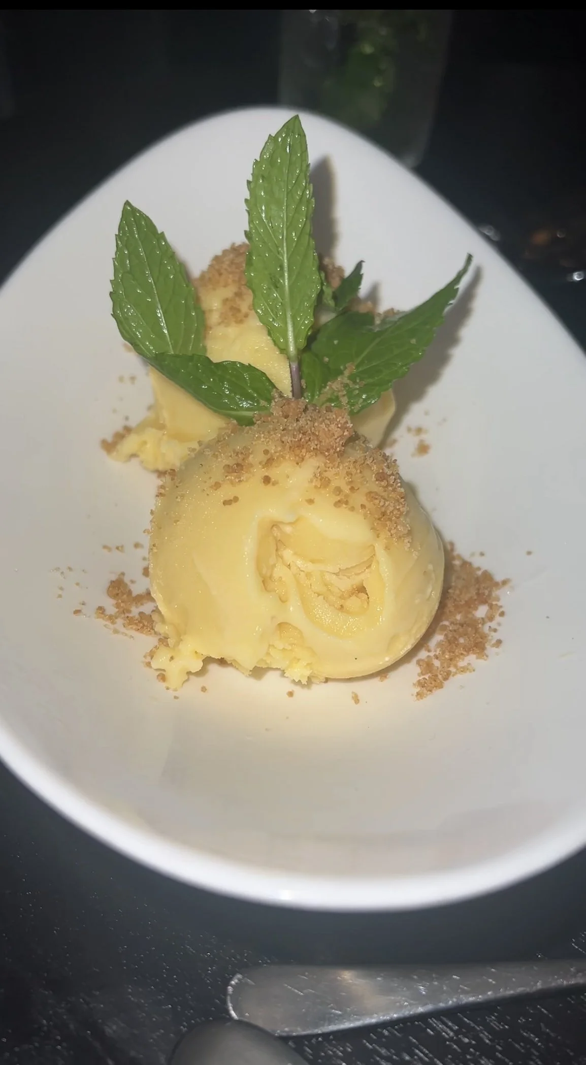 mango sorbet.jpg