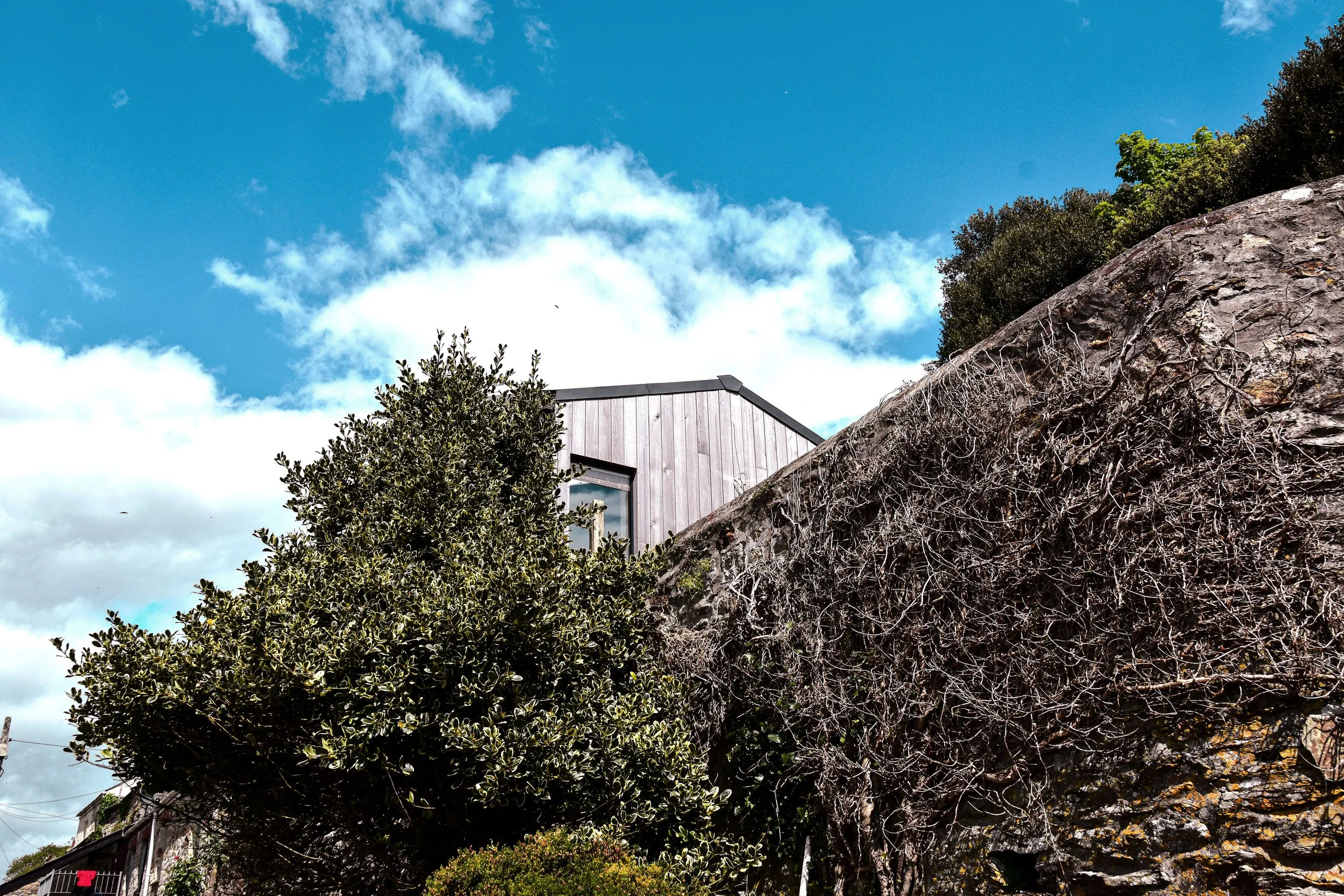 View of a modern house peeking over a stone wall with dry vines, surrounded by green bushes and trees, under a partly cloudy sky.