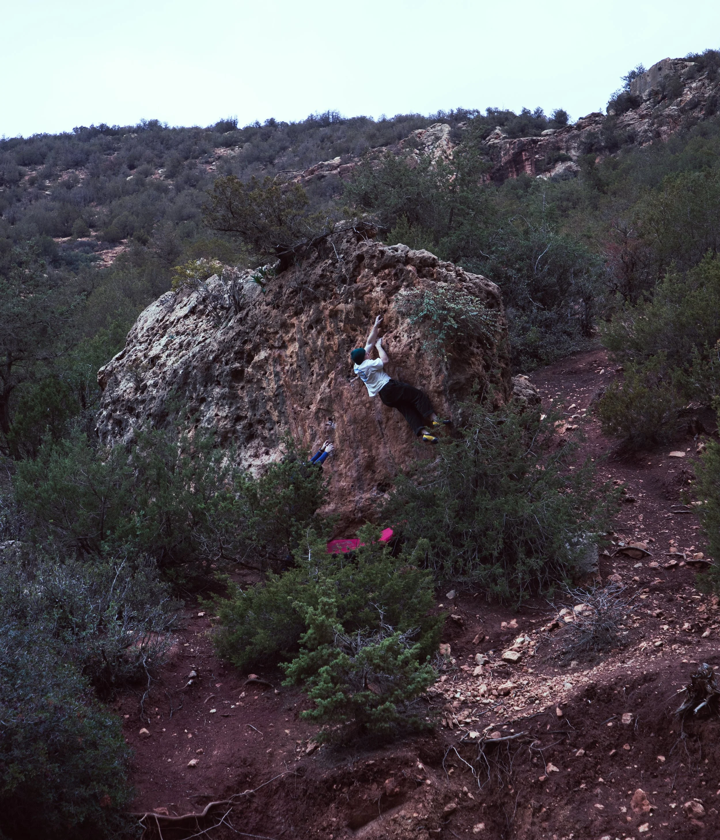 Person wearing a white shirt and black pants rock climbing a large boulder outdoors with a trail and green bushes around.