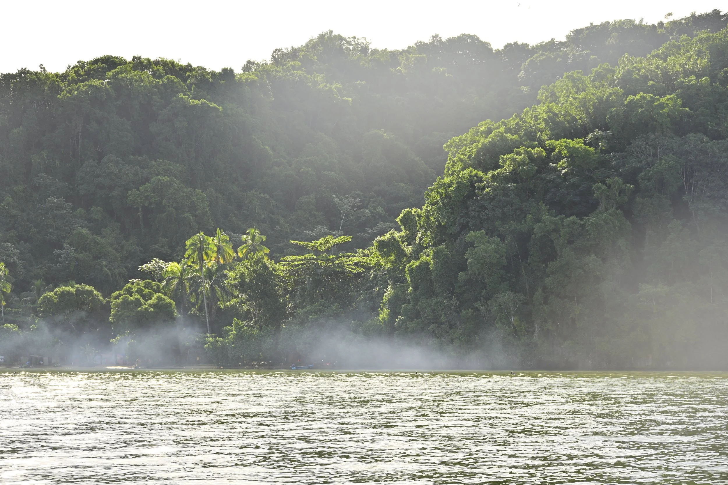A lush green rainforest mountain range with mist near the river in the foreground.