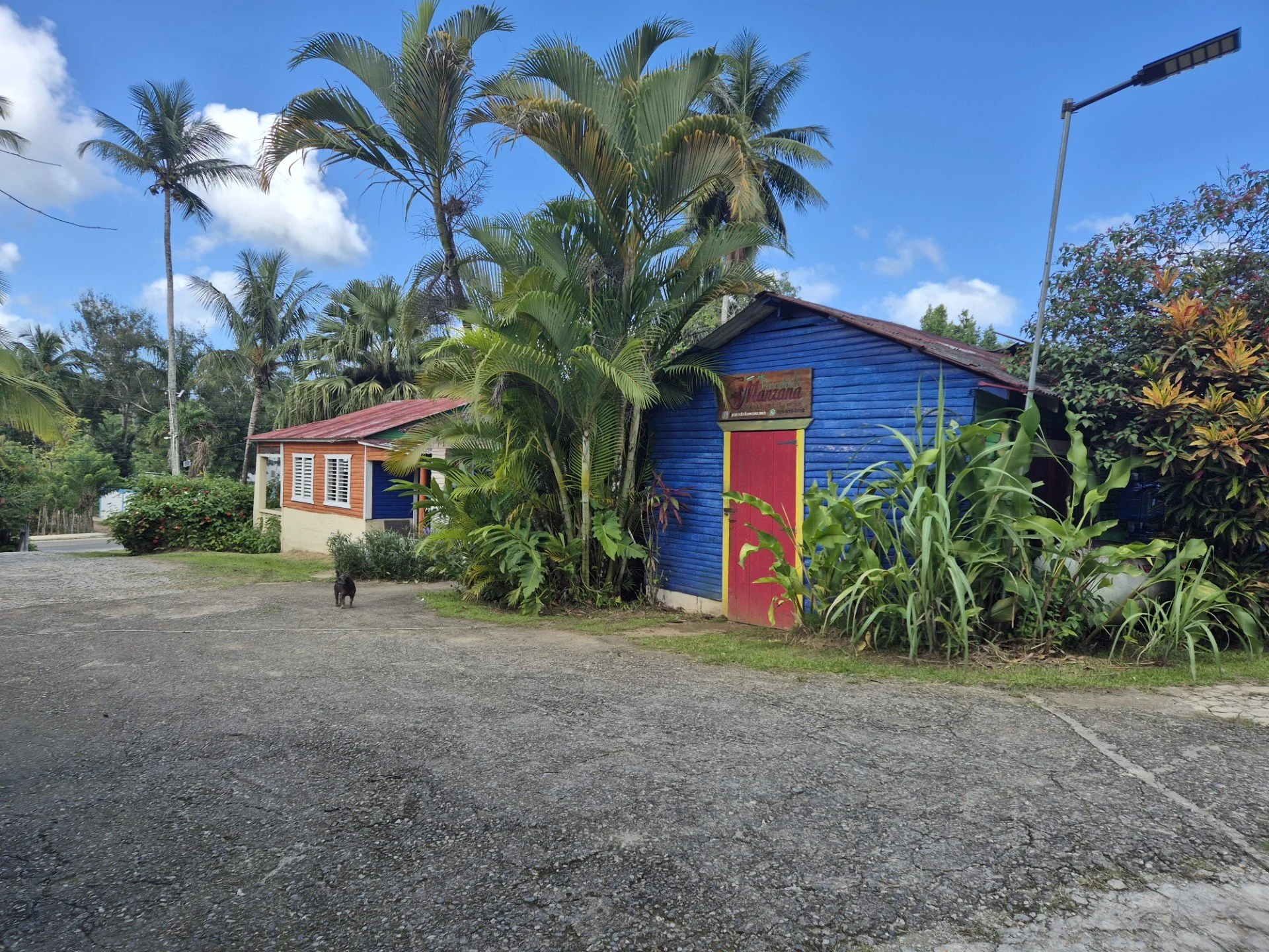 Colorful small buildings with red and blue walls surrounded by tropical trees and plants under a partly cloudy sky, with a small dog on a gravel driveway in the foreground.