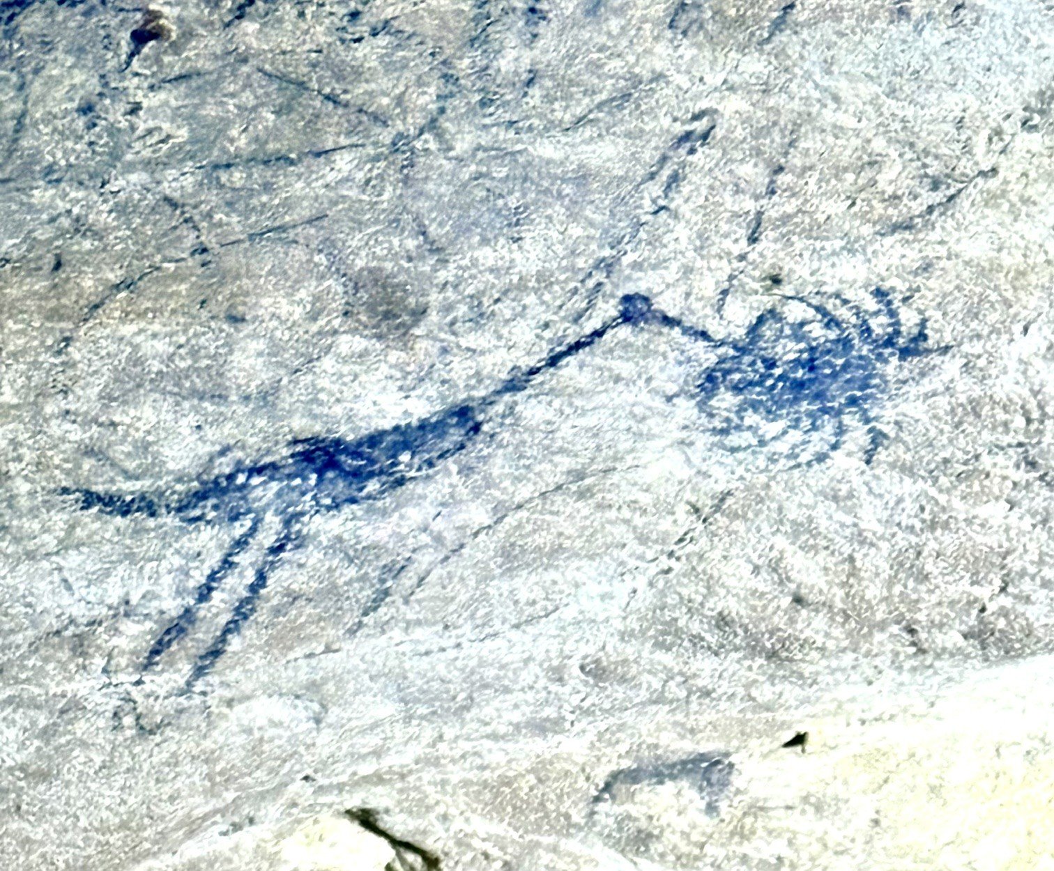 Cave drawing of an animal