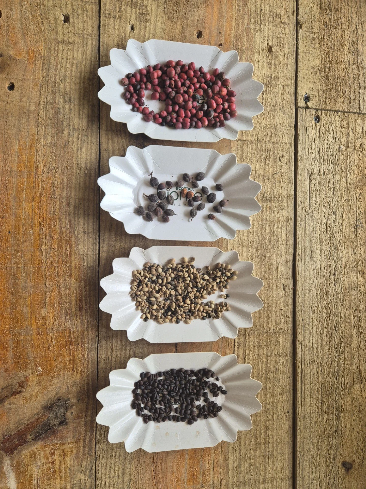 Four white paper dishes containing different types of seeds, arranged in a vertical line on a wooden surface.