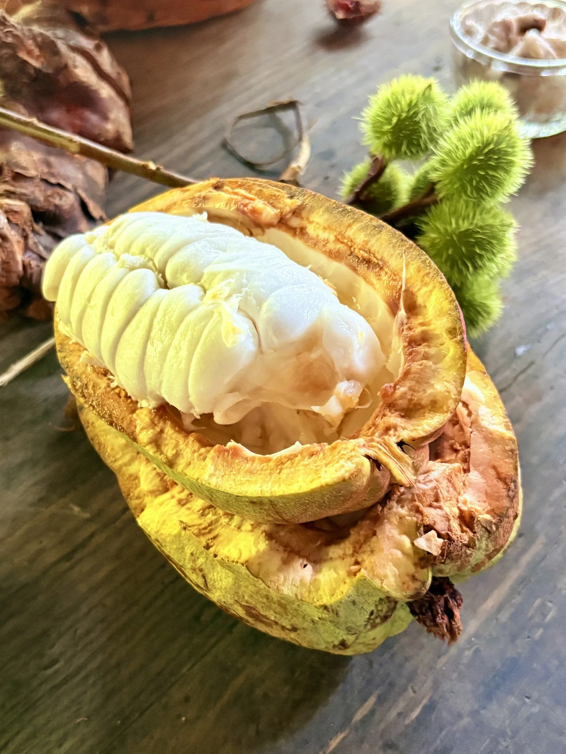 A durian fruit with green, spiky exterior and white, segmented flesh inside, placed on a wooden surface with some green fuzzy plant and a small cup of dessert in the background.