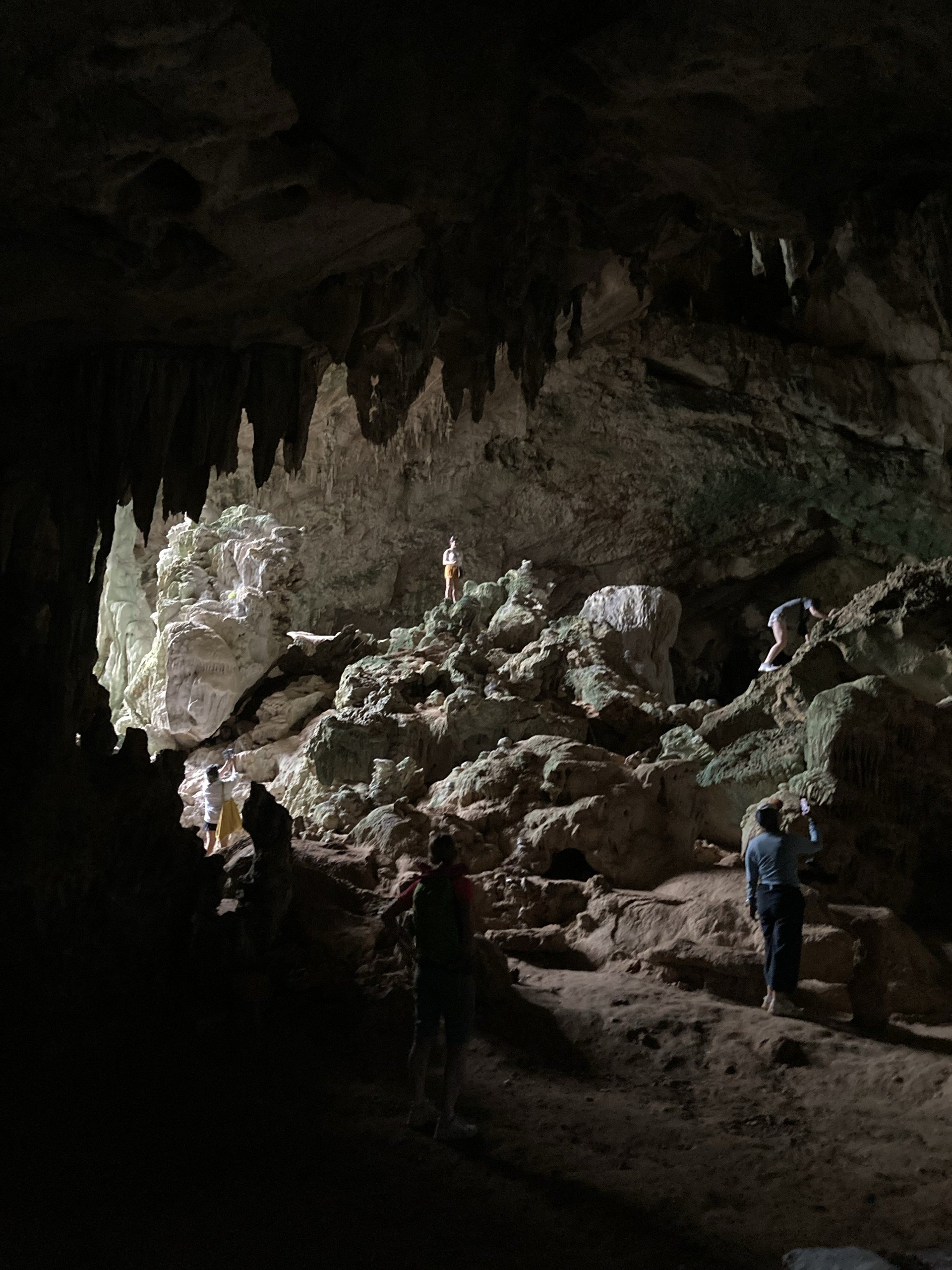 A group of people exploring the interior of a cave with stalactites hanging from the ceiling and multiple rock formations on the ground.