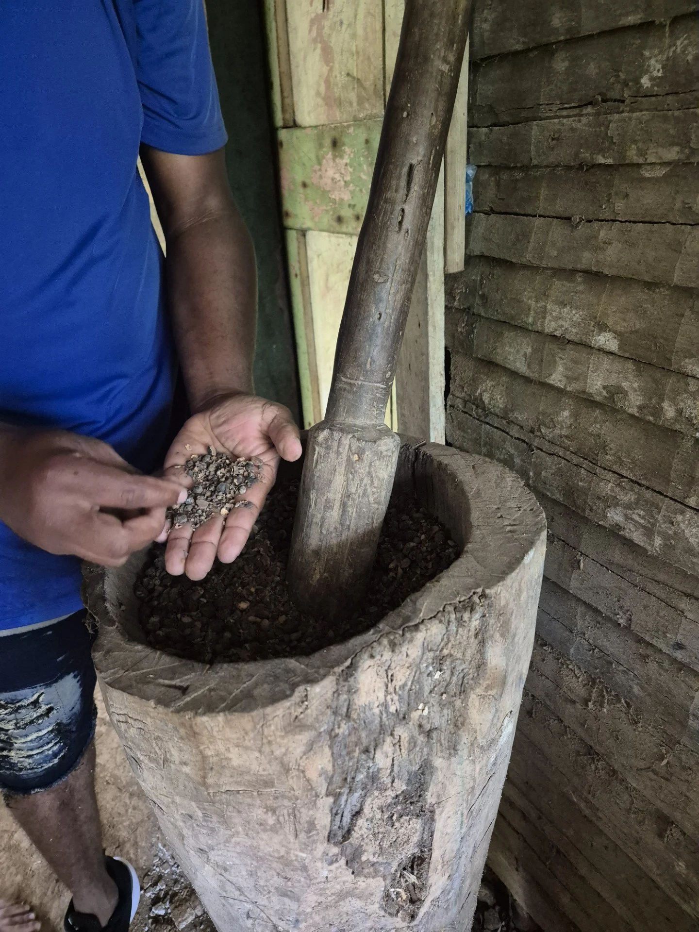 Person in a blue shirt and ripped shorts holding small stones or seeds, standing next to a large wooden mortar filled with small stones or seeds inside a rustic wooden structure.
