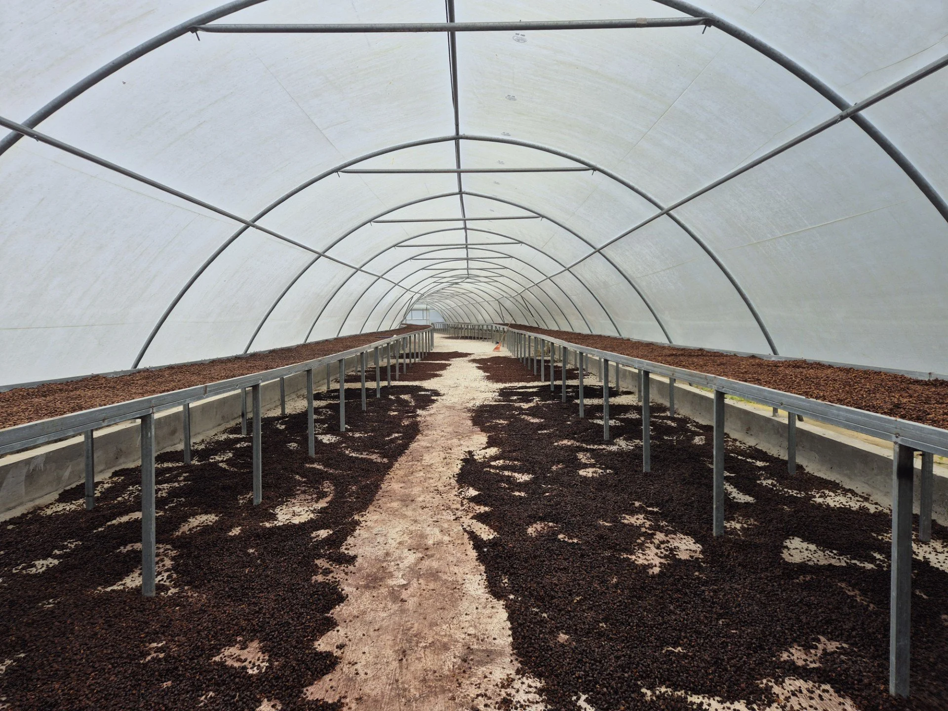 A greenhouse with a plastic cover and metal framework, containing rows of soil beds for planting, with dirt on the floor.