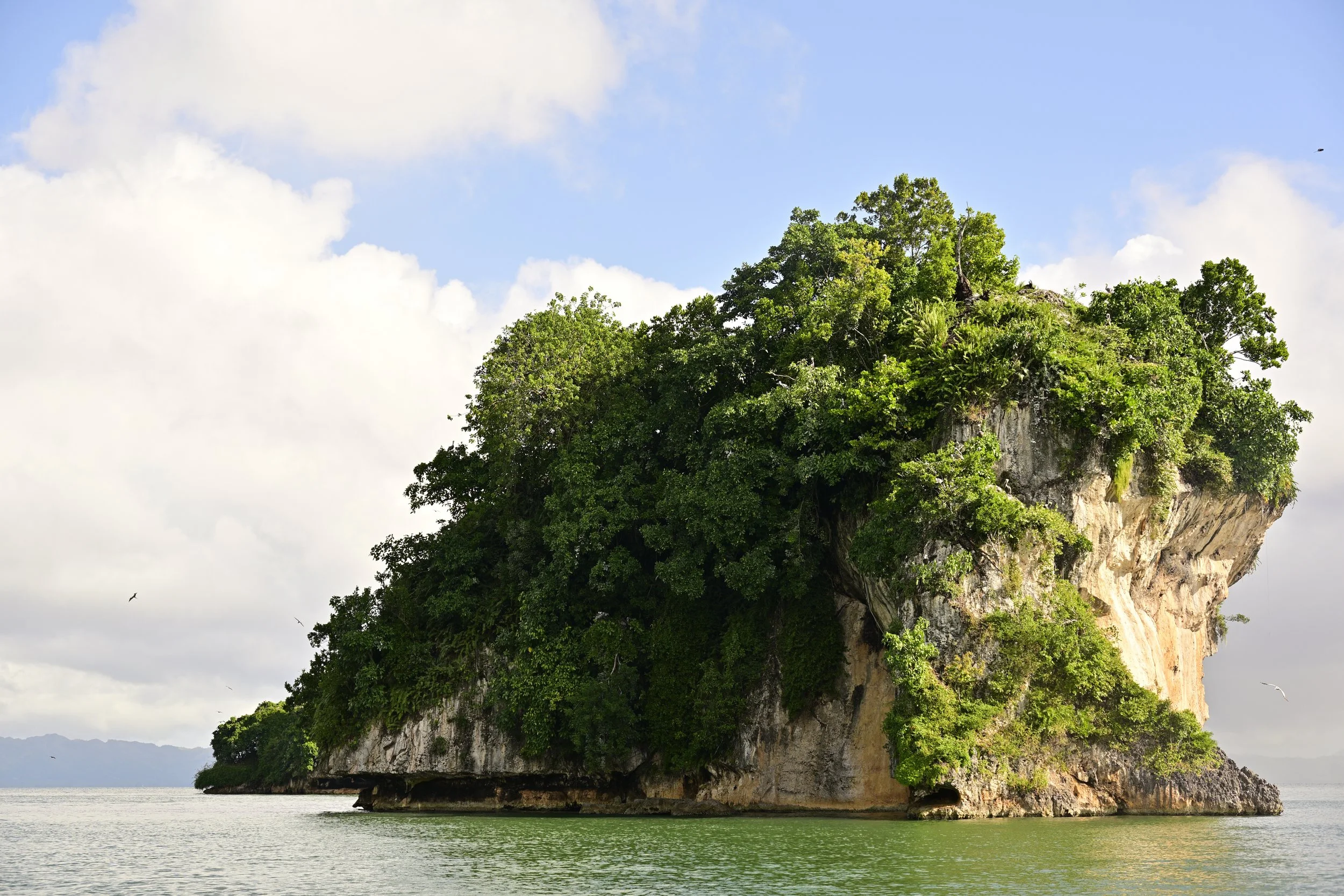 A large rocky island covered with green trees and vegetation, surrounded by calm water under a partly cloudy sky.