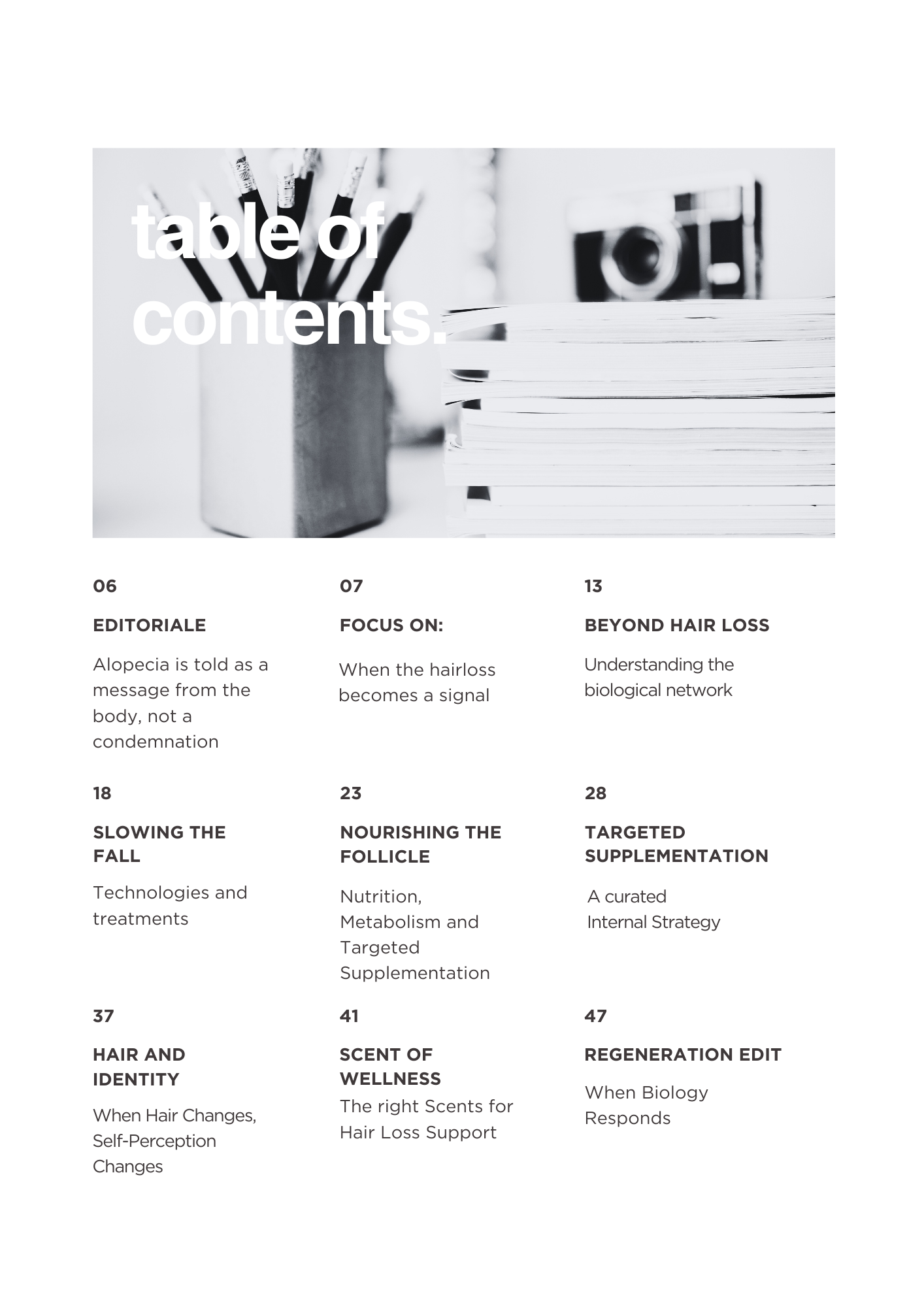 Table of contents.png