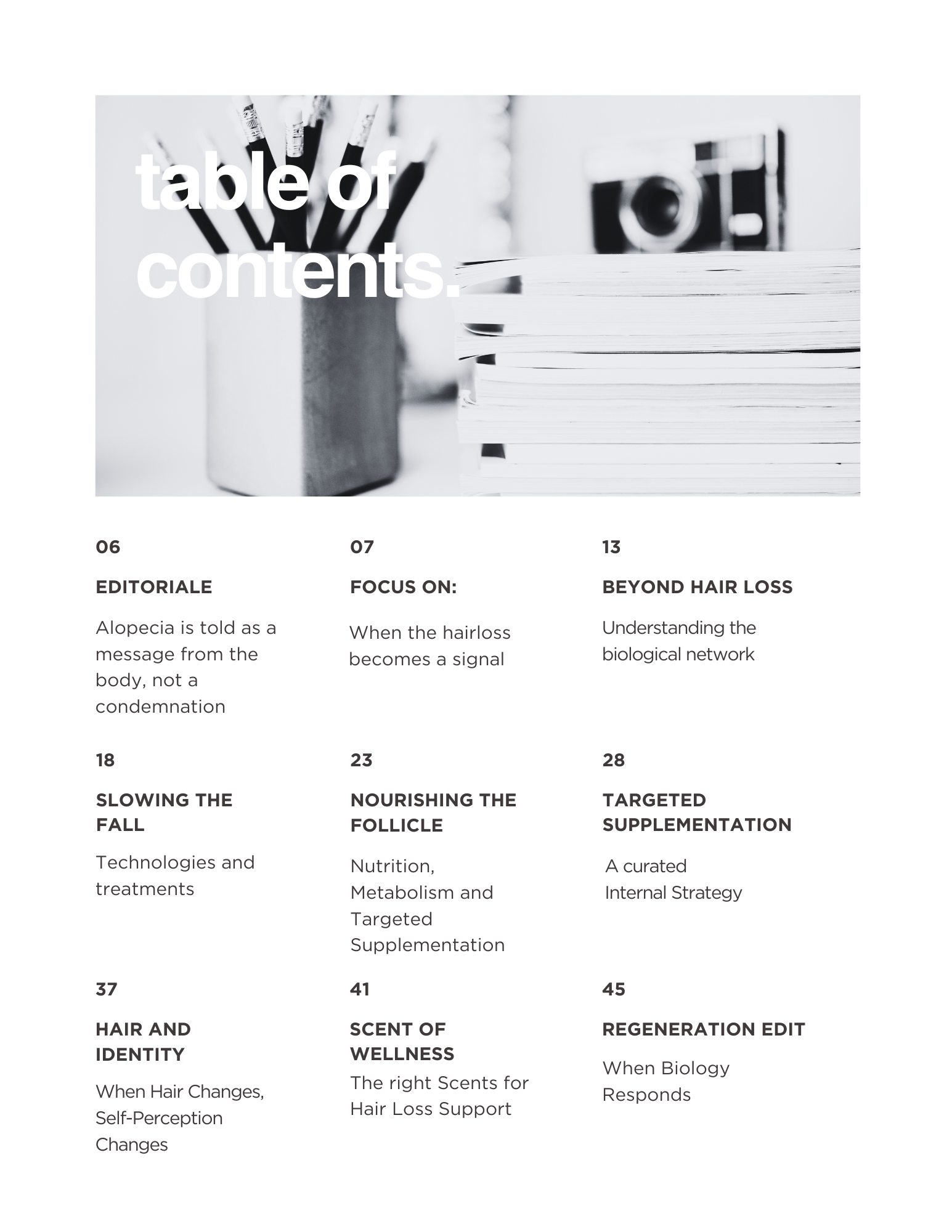 Table of contents.png