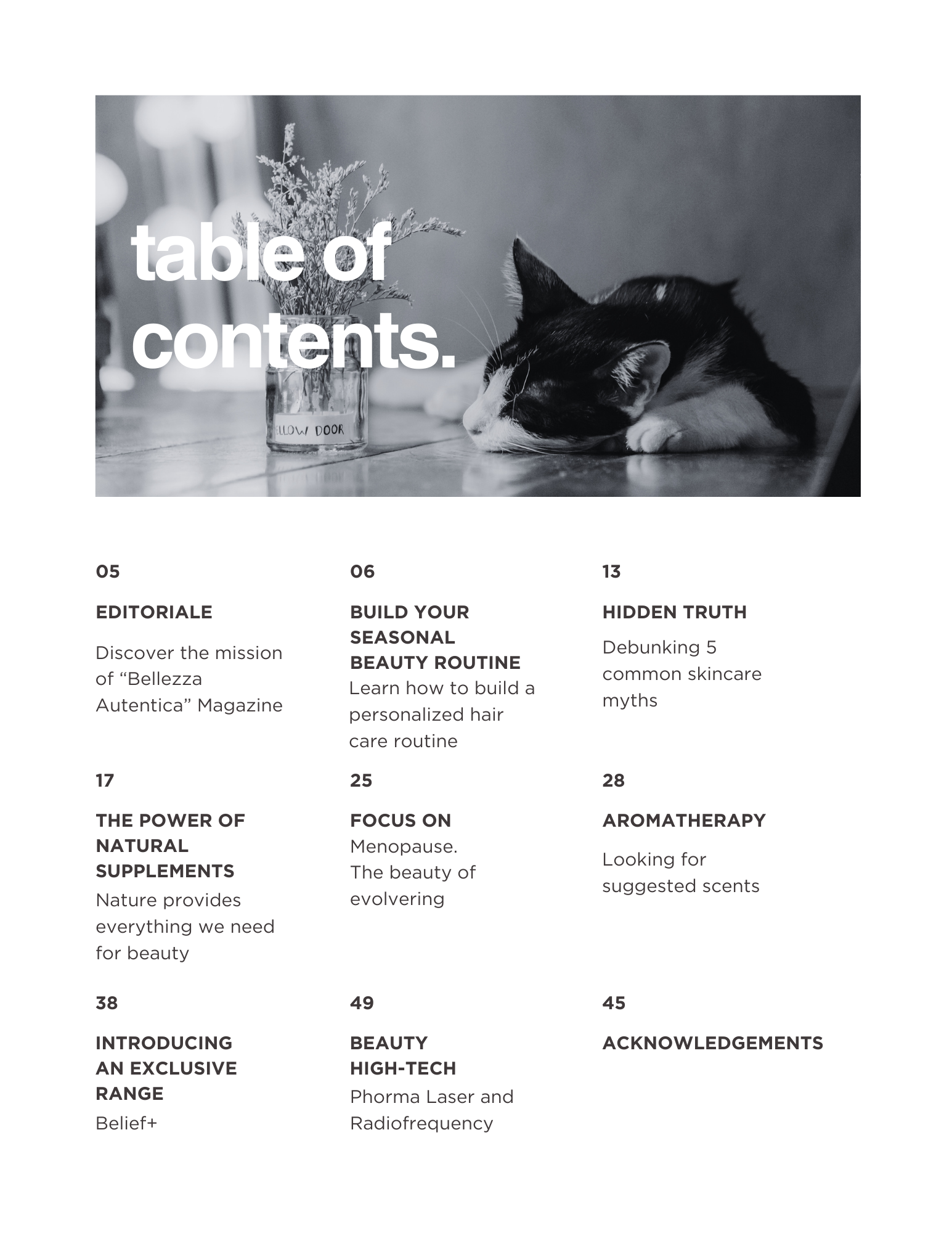 Table of contents.png